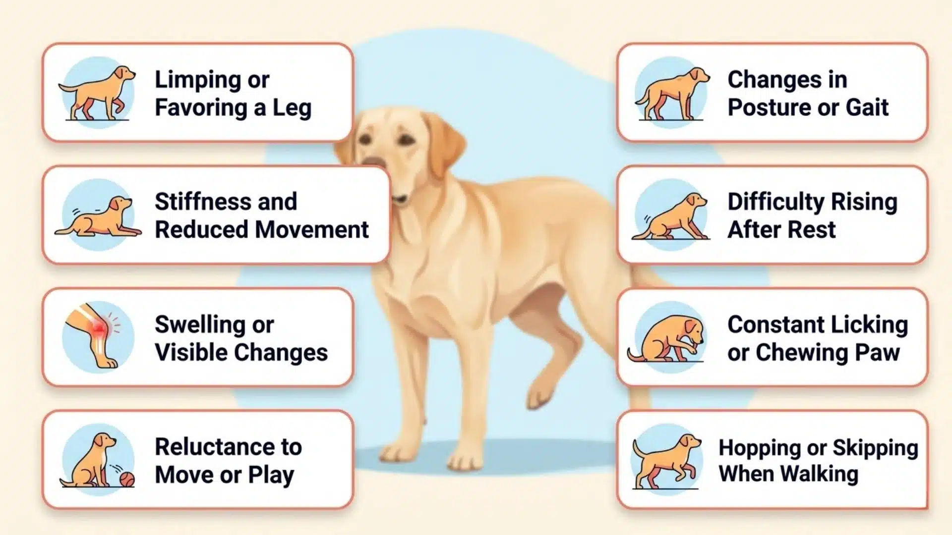 Infographic showing signs of lameness in dogs including limping, stiffness, swelling, difficulty rising, and reduced movement