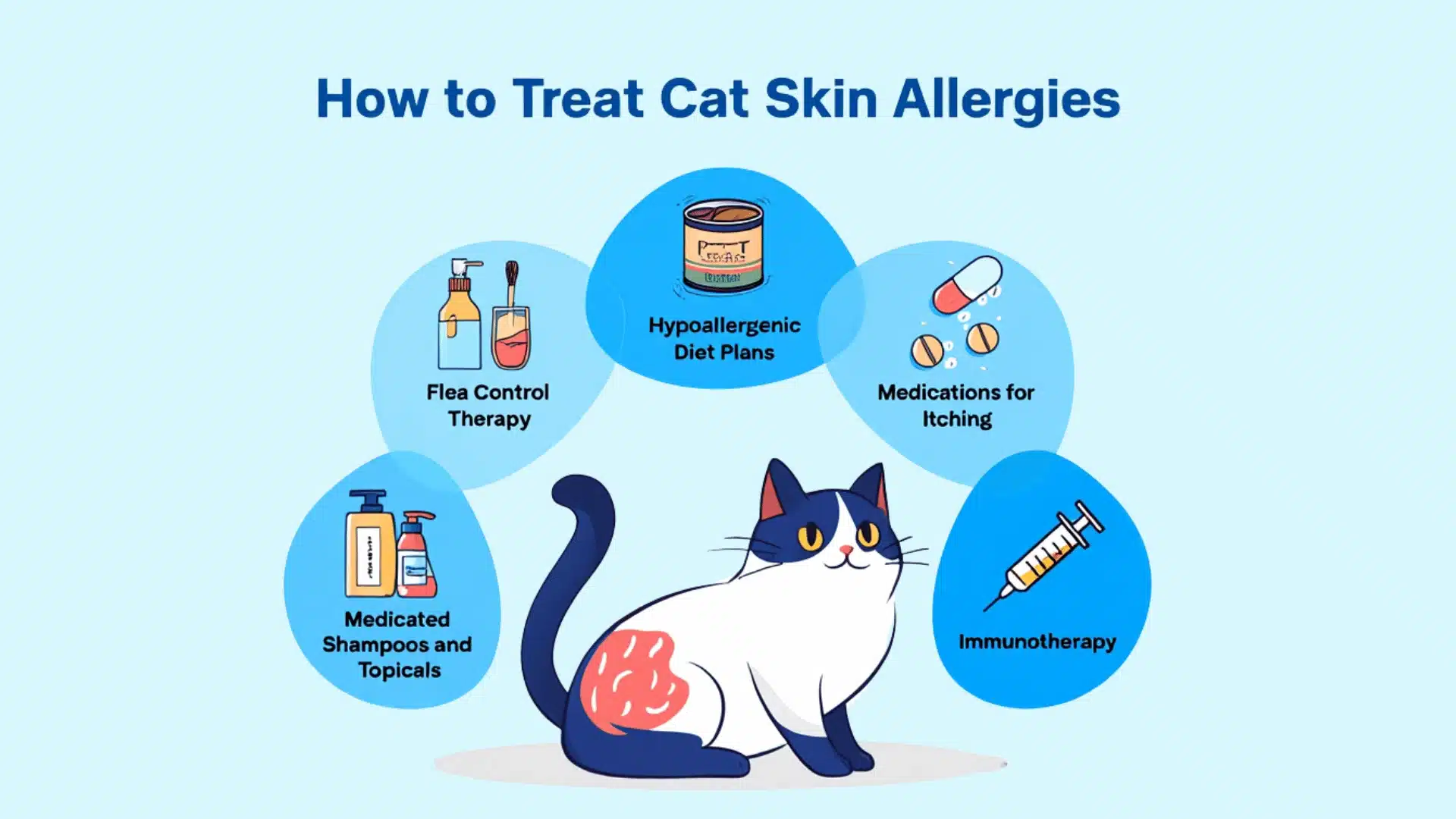 Infographic showing treatment options for cat skin allergy including flea control therapy, hypoallergenic diet, medications, immunotherapy and medicated shampoos