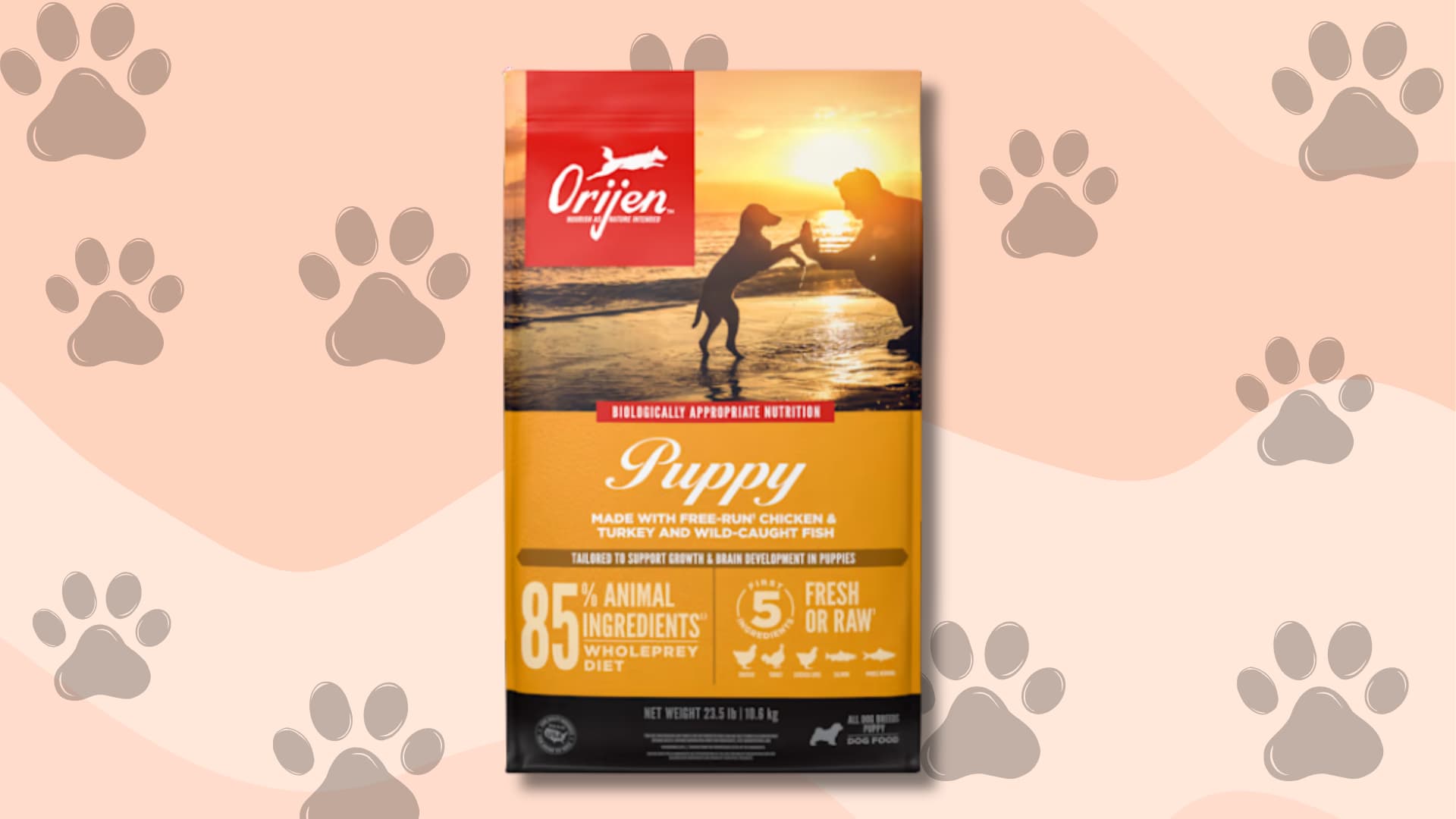 Orijen Puppy food bag designed for healthy growth and balanced nutrition for puppies