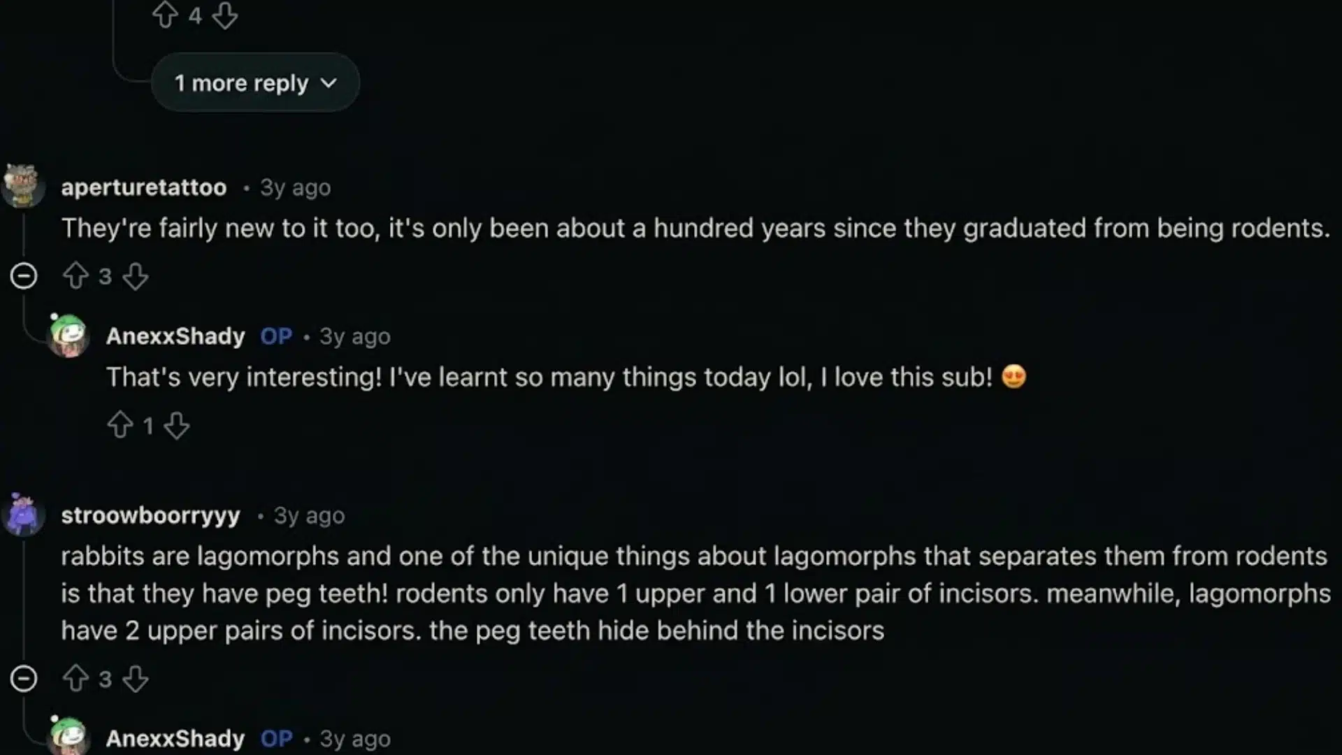 Reddit comments discussing rabbits as lagomorphs and differences from rodents, including teeth structure