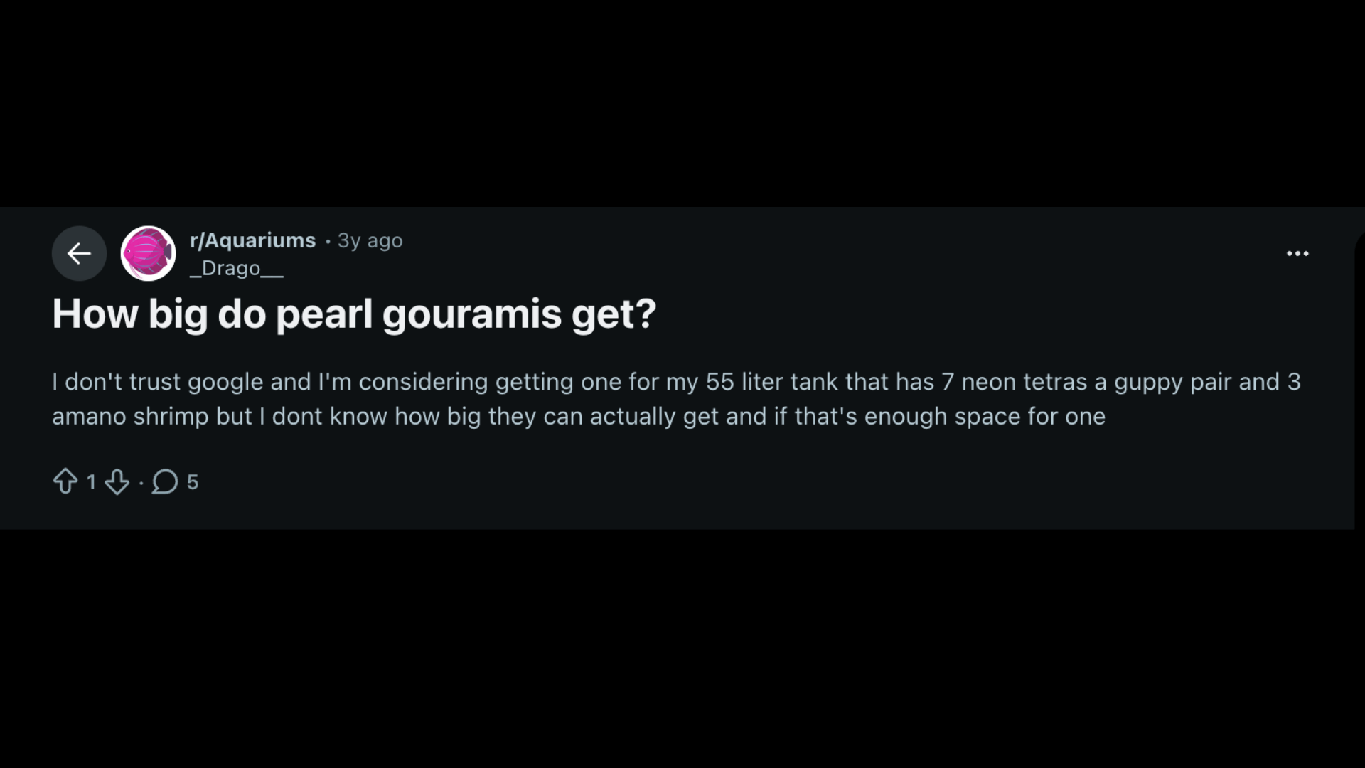 Reddit post asking how big pearl gouramis get for a 55 liter community tank