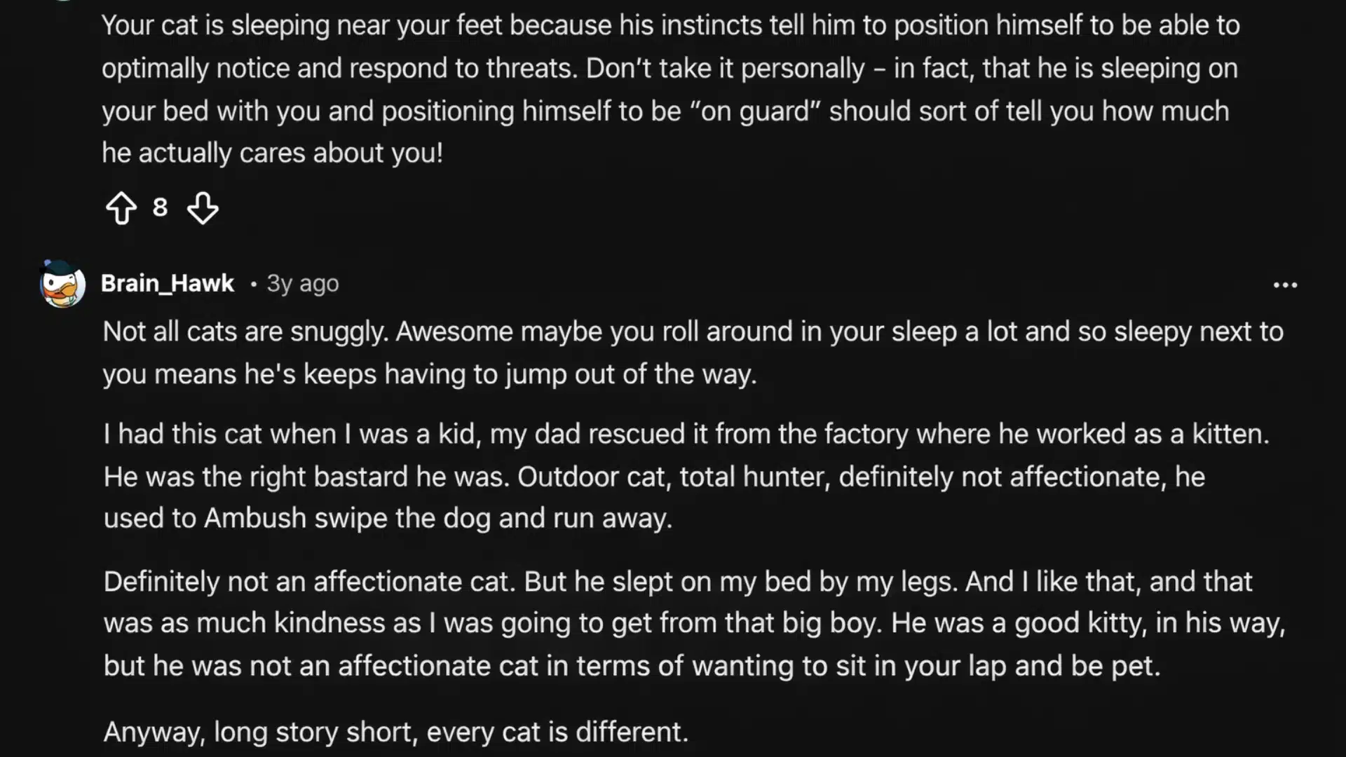 Reddit users discuss why cats sleep at the foot of the bed and how cat personality affects cuddling habits