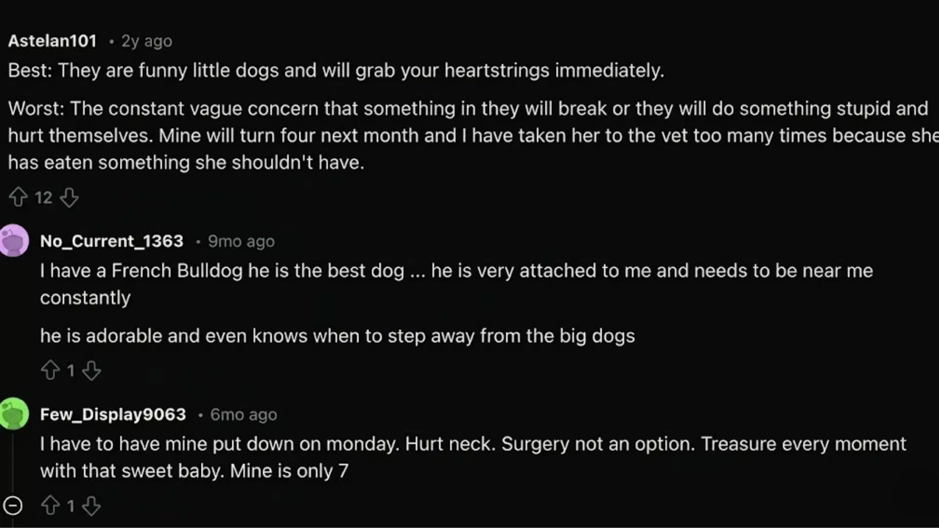 Screenshot of Reddit comments discussing experiences, attachment, and health concerns with French Bulldogs