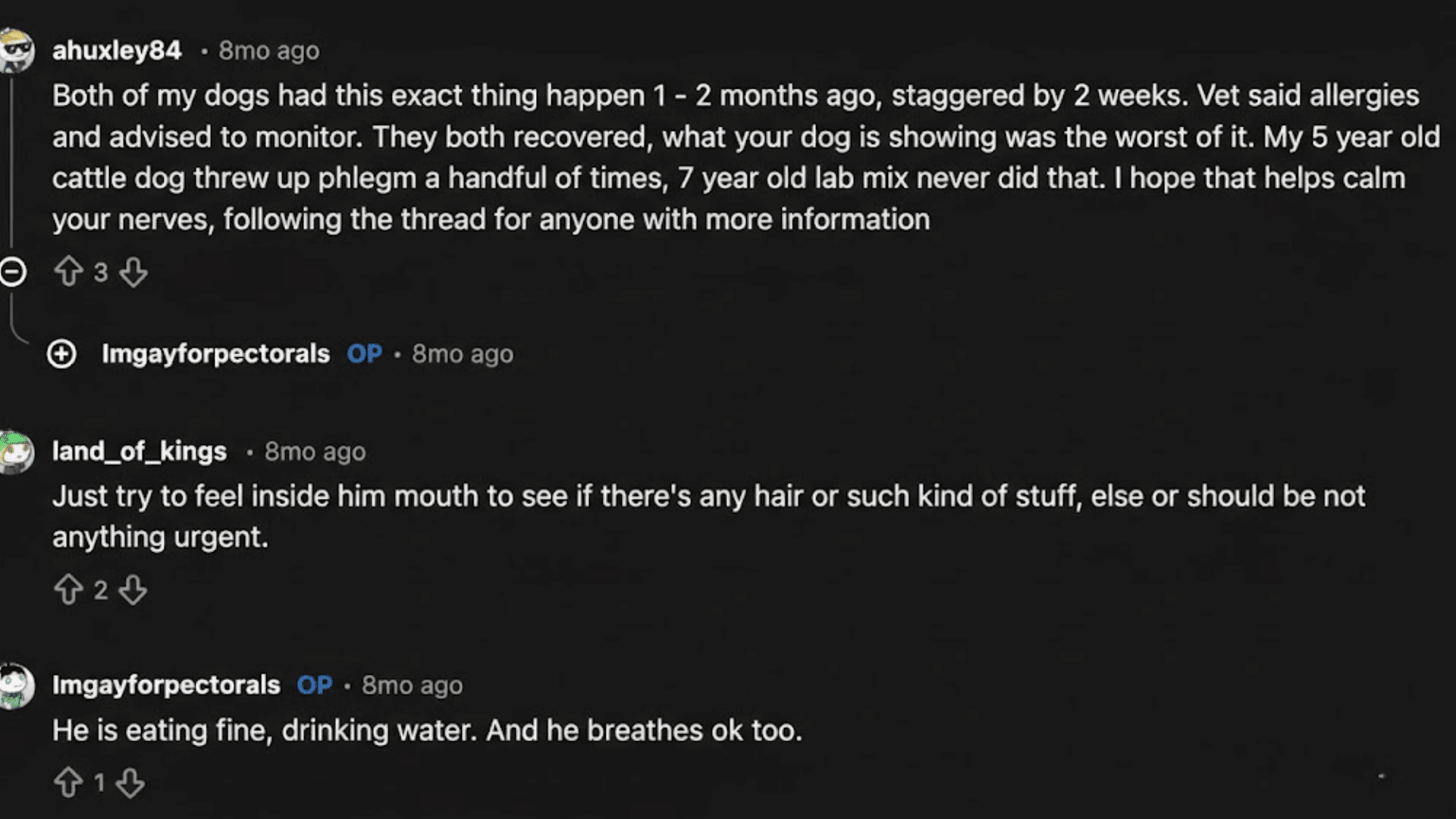 Screenshot of Reddit thread discussing dog coughing, allergy symptoms, recovery tips, and personal experiences