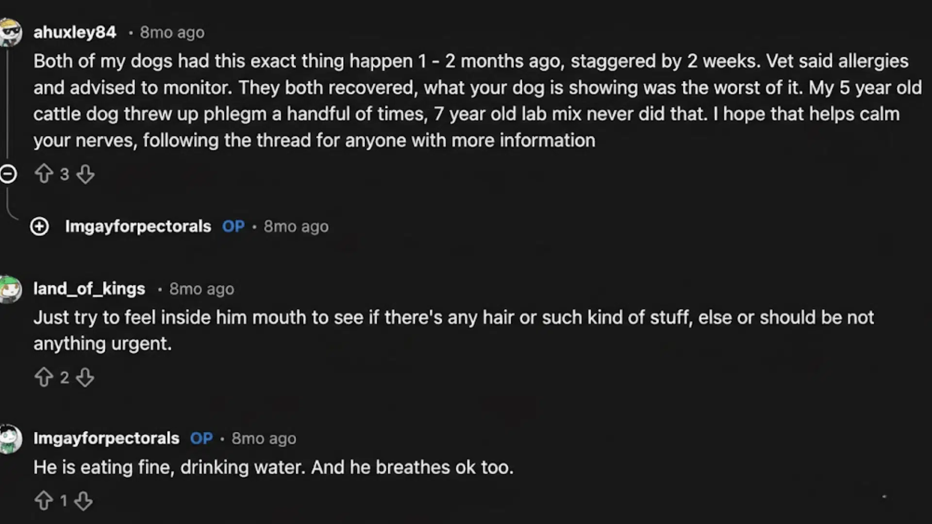 Screenshot of Reddit thread discussing dog coughing, allergy symptoms, recovery tips, and personal experiences