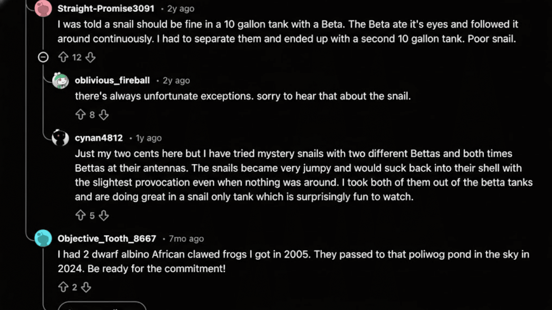 Screenshot of a Reddit discussion about snails, Betta fish, and the best fish for a 10 gallon tank