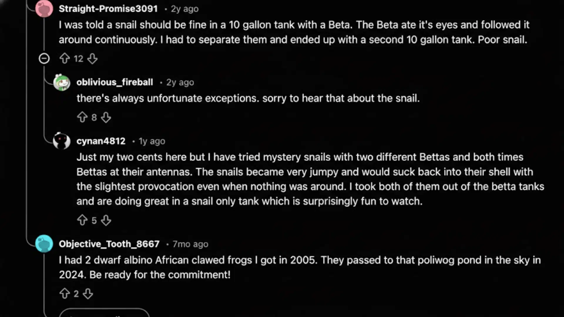 Screenshot of a Reddit discussion about snails, Betta fish, and the best fish for a 10 gallon tank