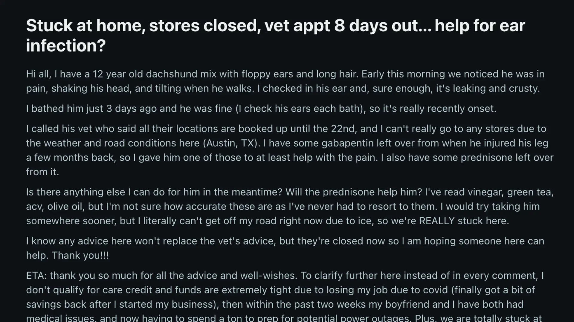 Screenshot of reddit thread os a dog parent asking suggestion on how to treat dog ear infection without a vet