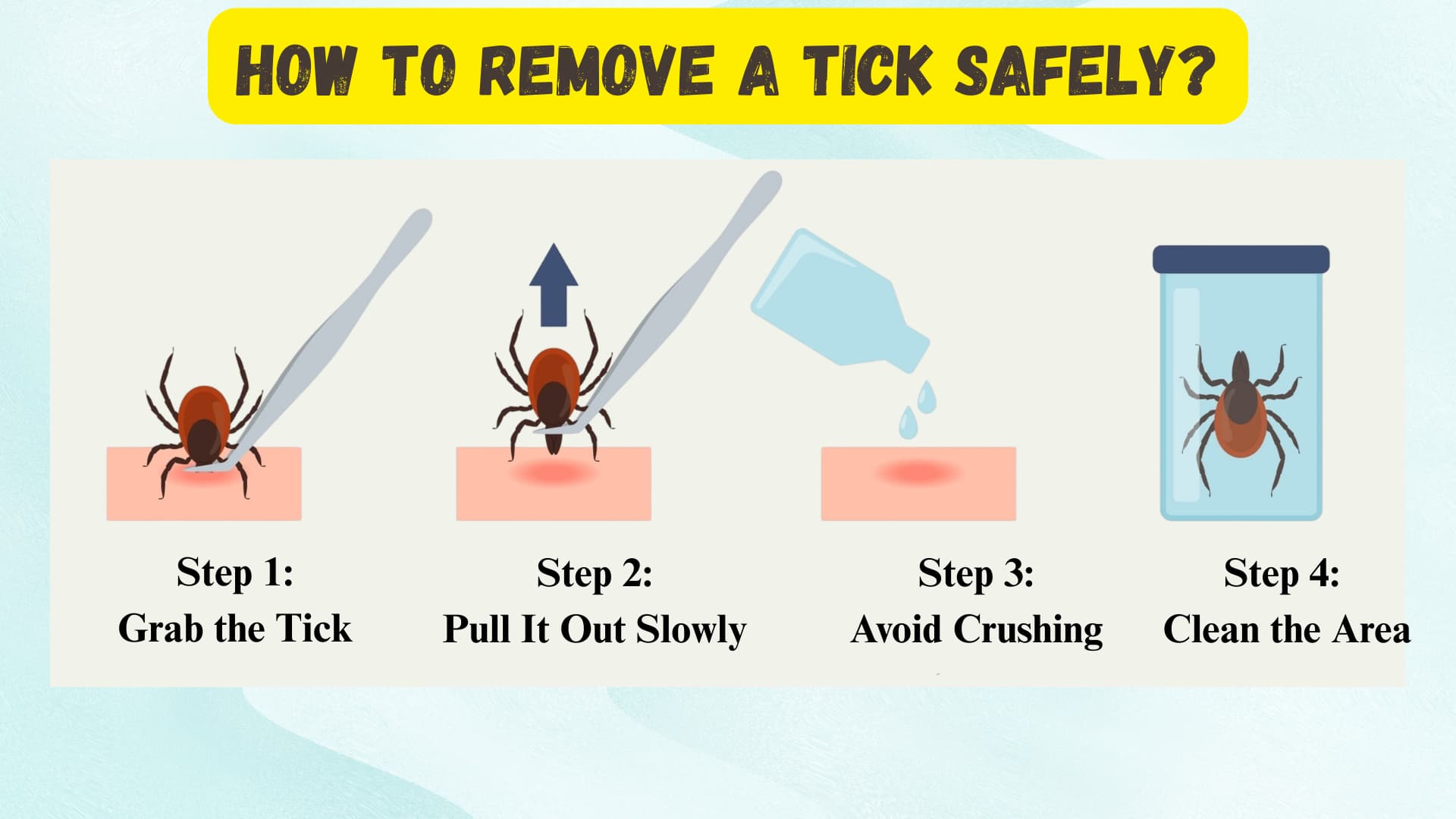 Step-by-step showing safe tick removal from dog skin using tweezers and cleaning