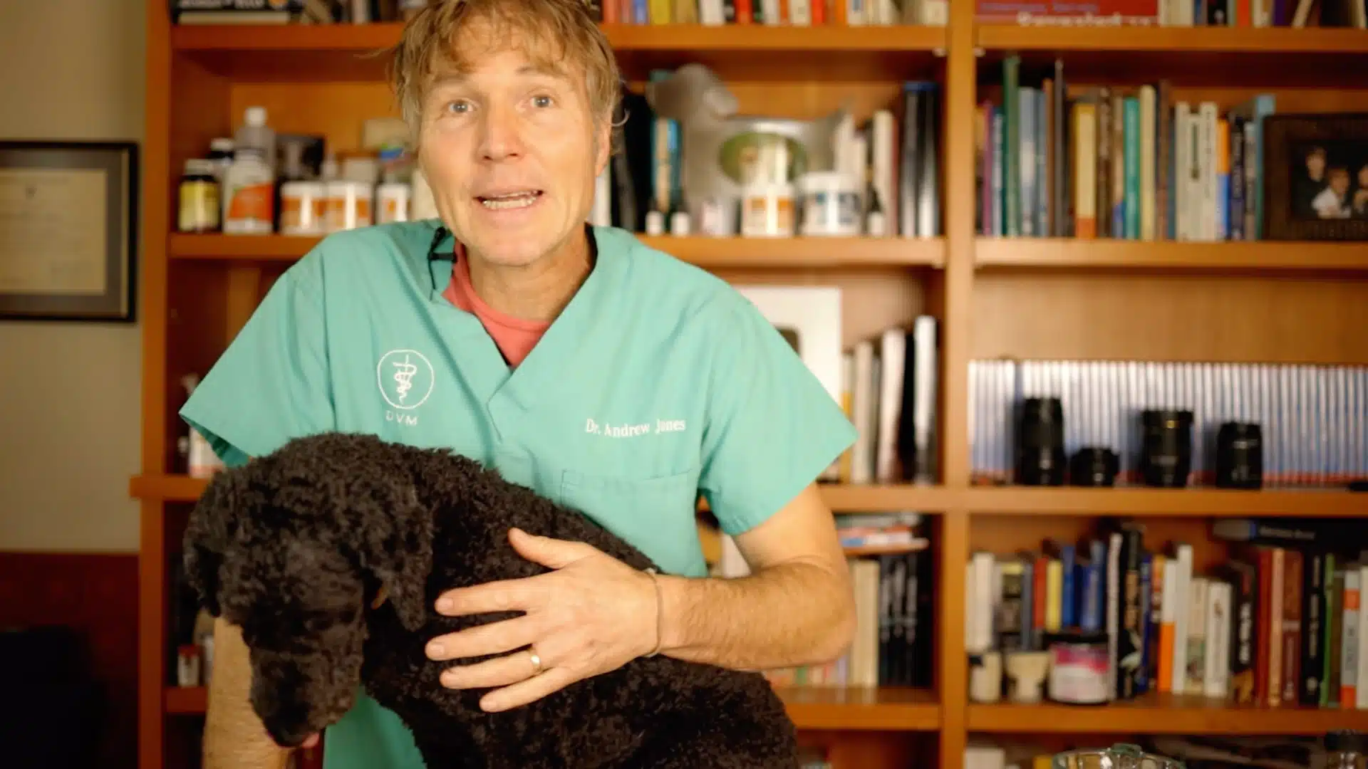 Veterinarian in green scrubs holding small black dog while explaining home ear cleaning method indoors