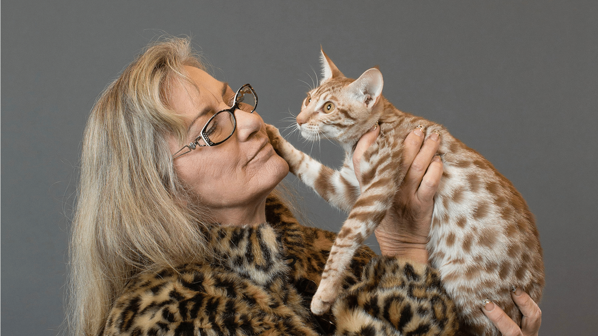 a lady wearing leopard print fur coat is holding a ocicat in her hand