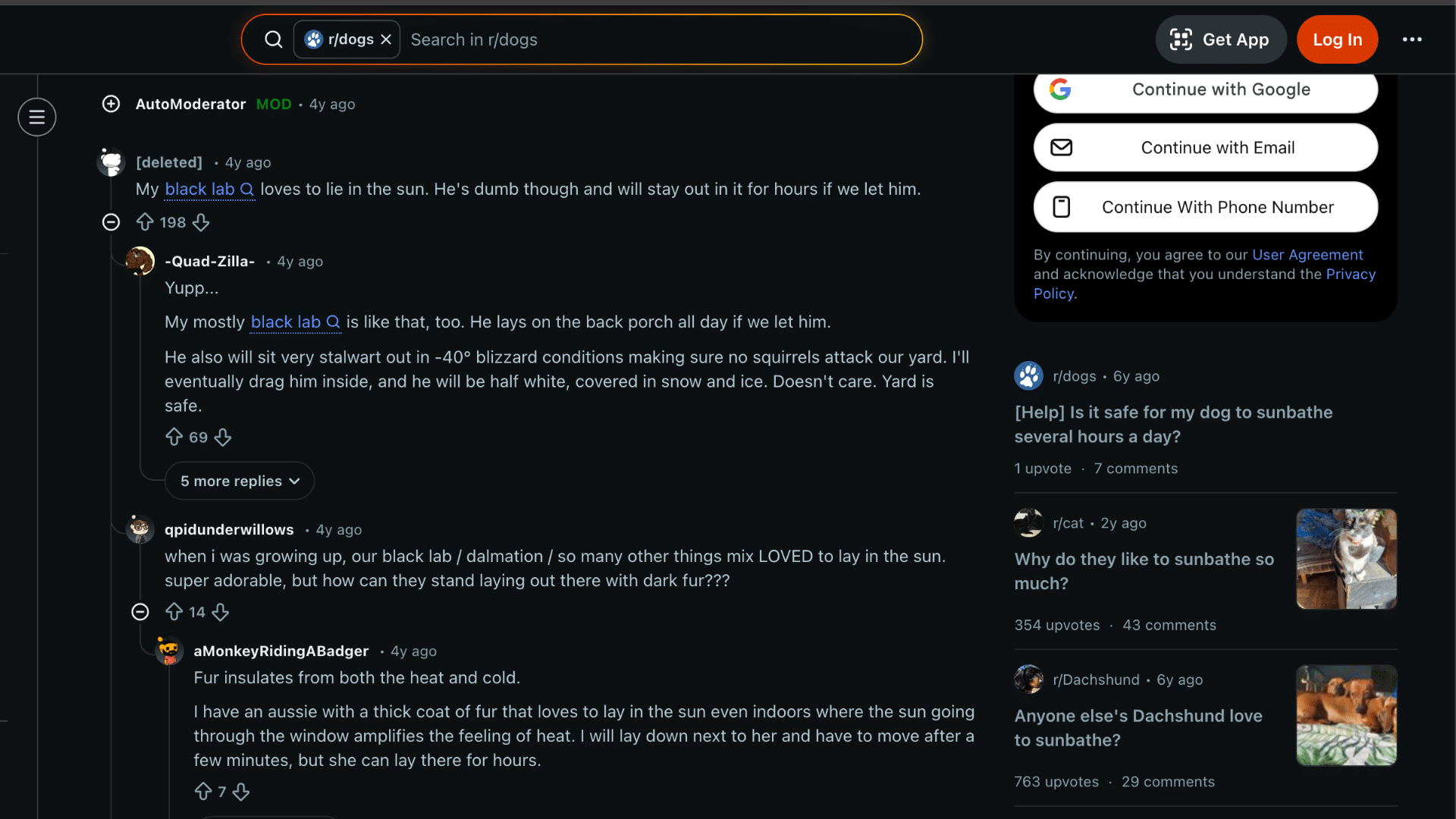 a screenshot of discussion on why dogs like to sunbathe on reddit