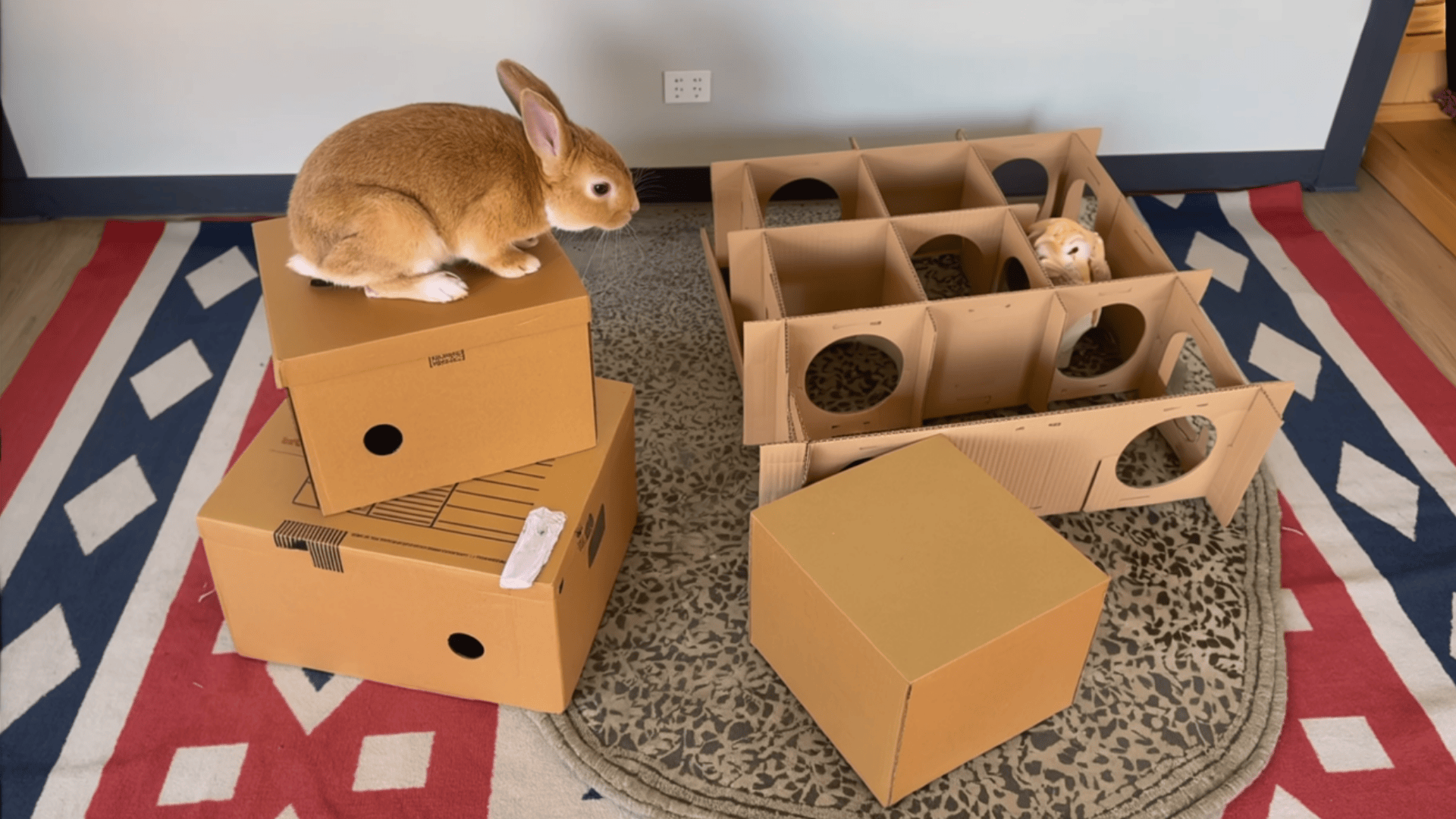 cardboard box mazes