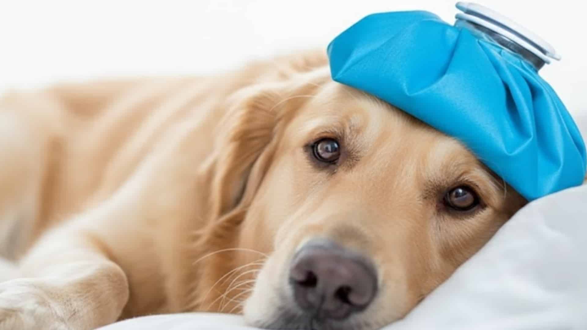 cold-compress-safe-home-remedies