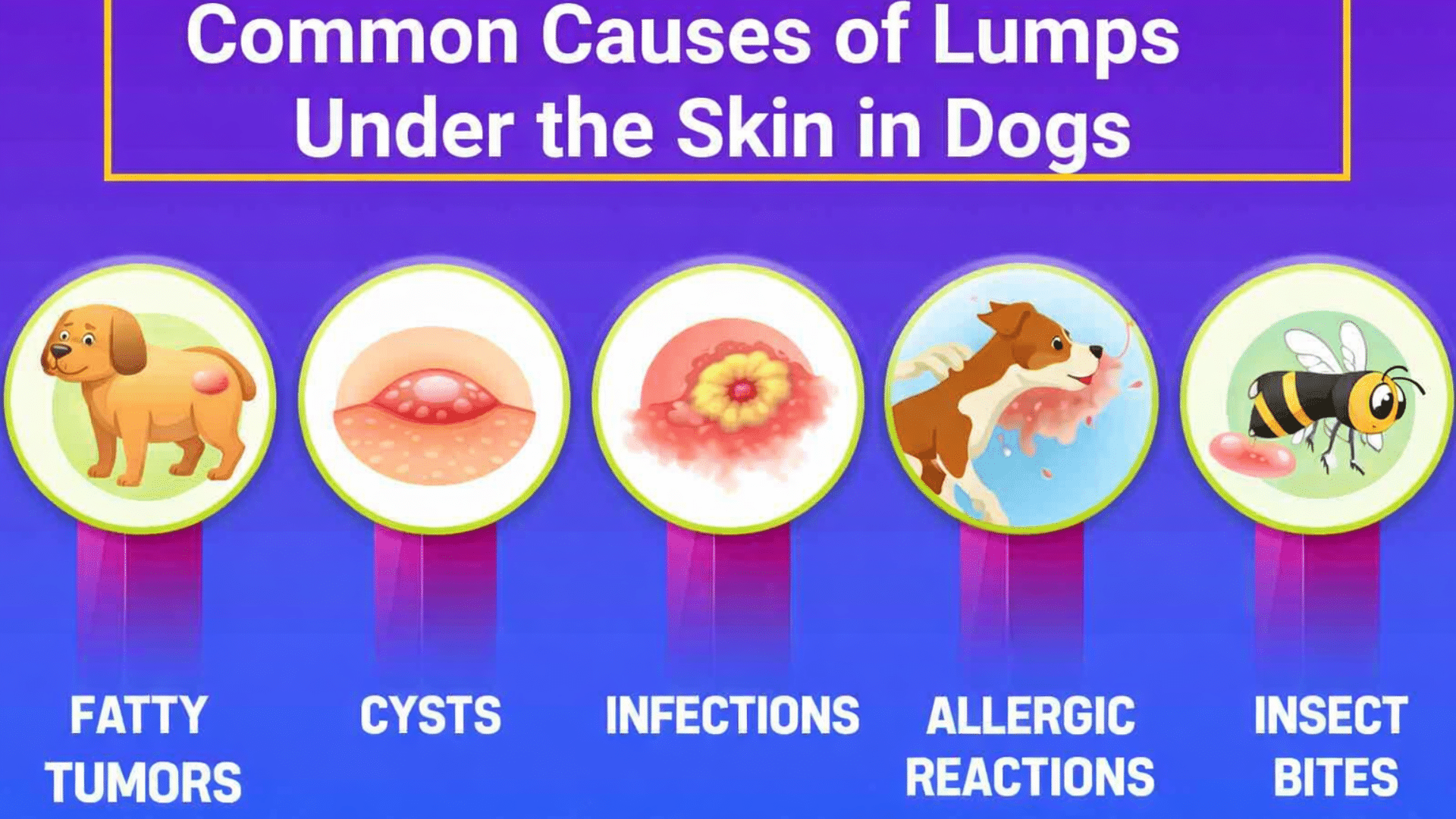 common causes of lumps under the skin in dogs