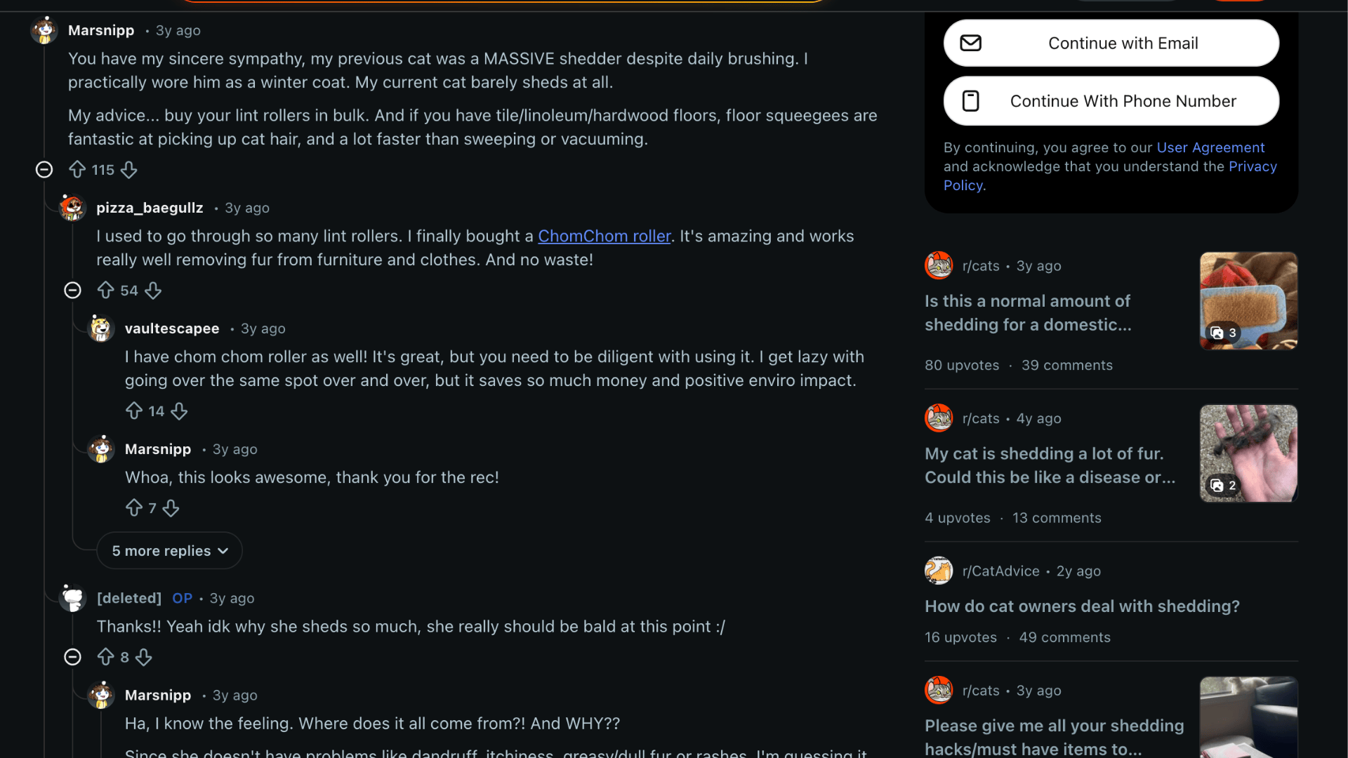 personal experiences with excessive shedding in cats