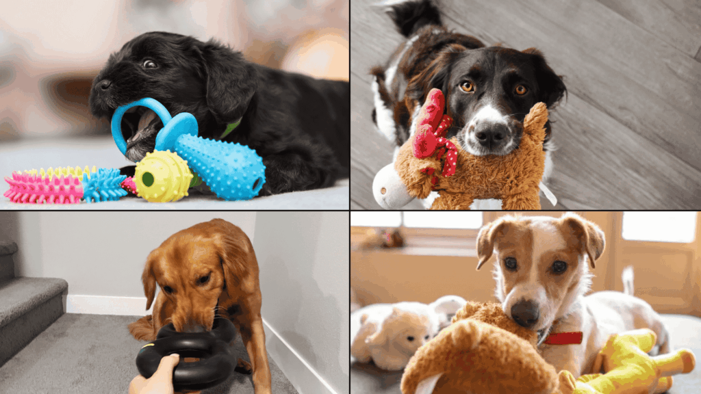 safe chew toys for dogs