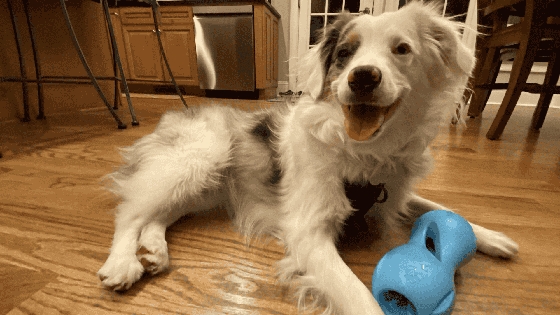 safe chew toys for dogs rubber treat stuffing toy