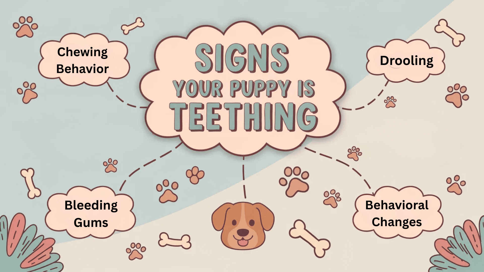 signs your puppy is teething