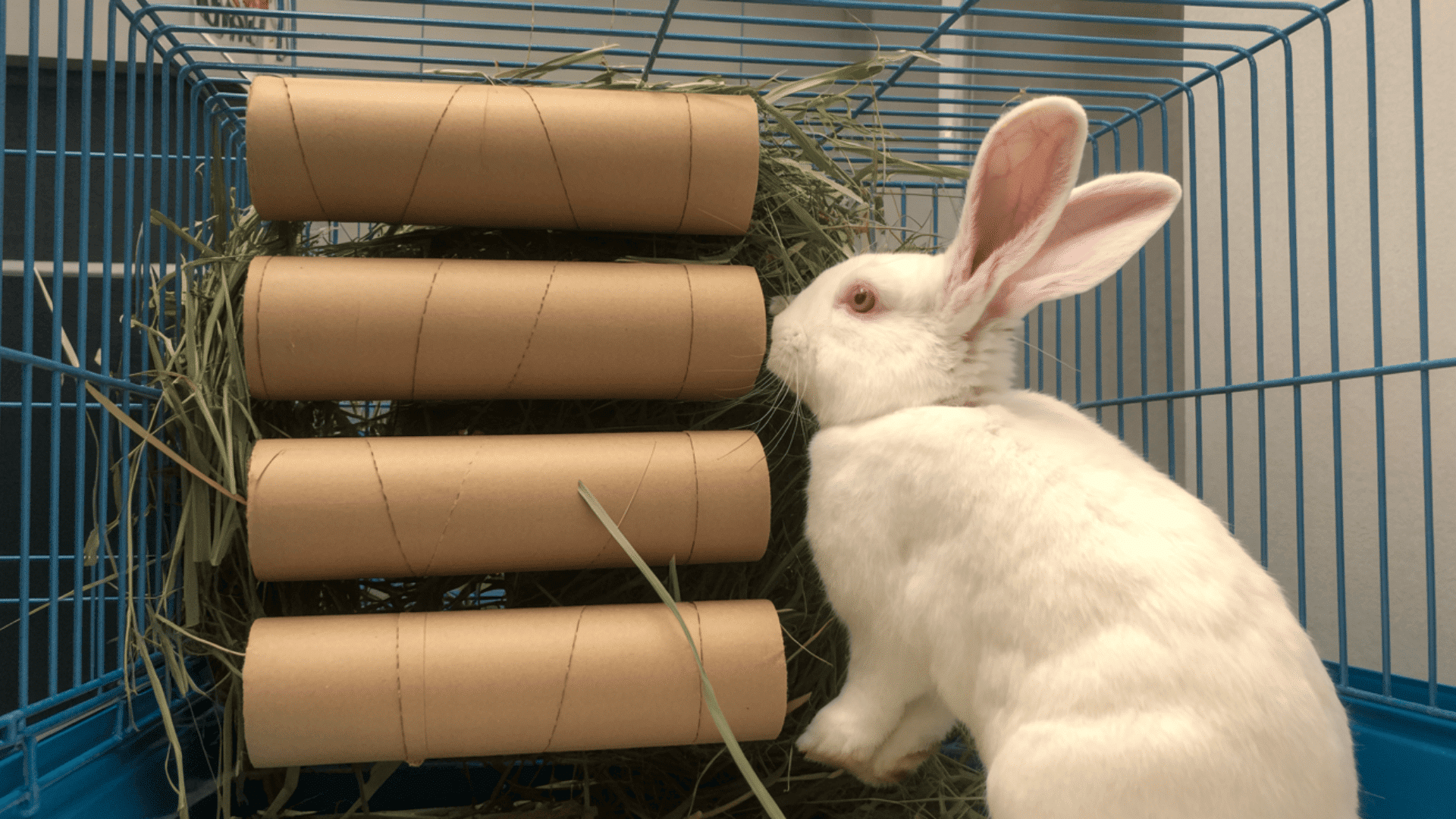 toilet paper roll stuffers