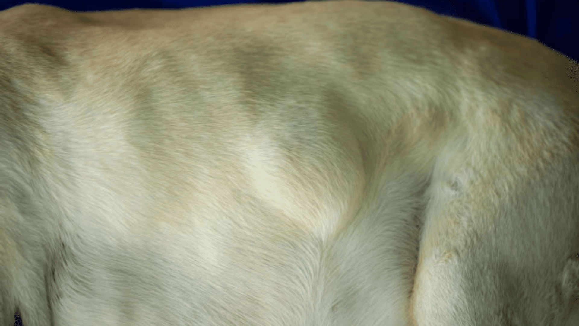 warning signs that need immediate attention