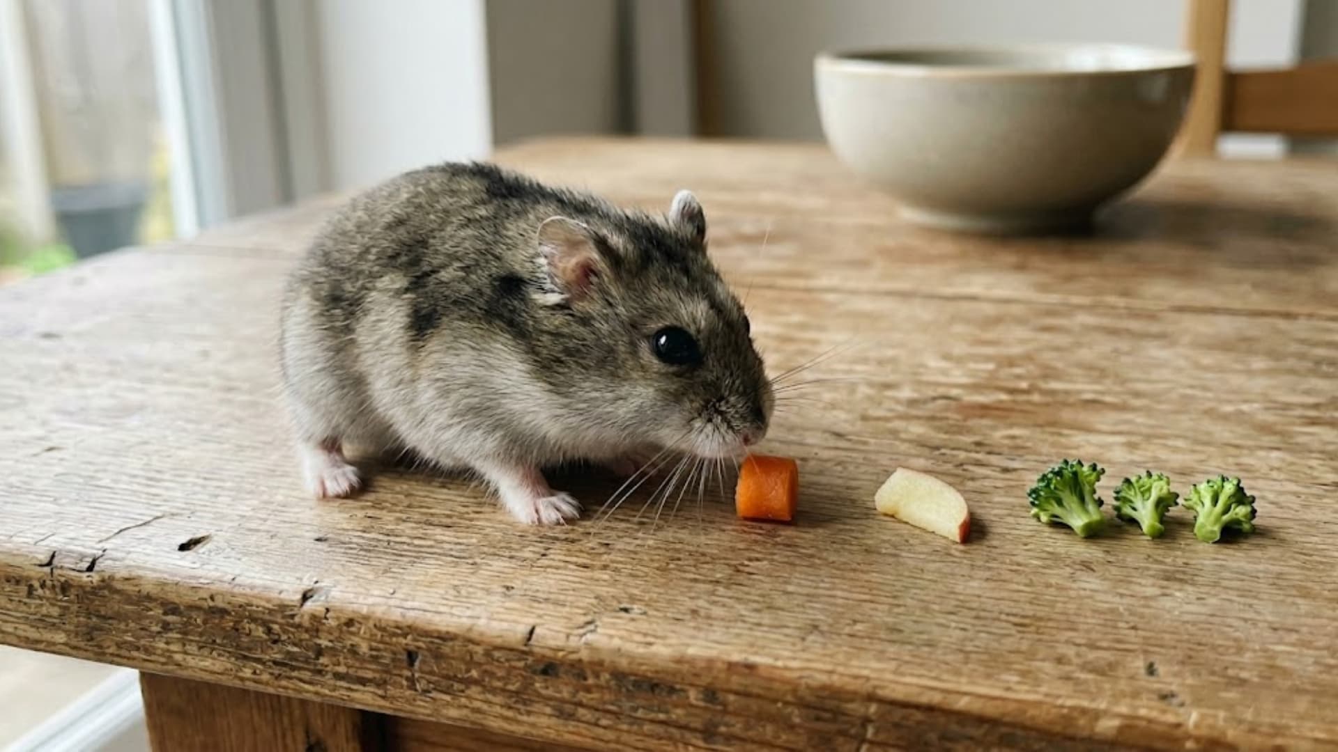 A hamster next to very small portions of vegetables and fruits like a pea-sized carrot piece and tiny apple slice, clear comparison