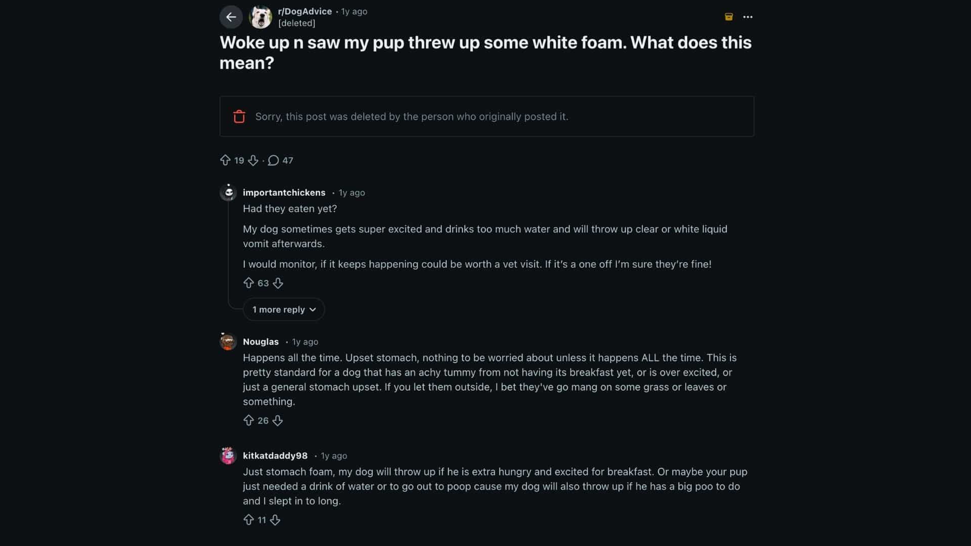A Reddit post titled “Woke up to my pup vomiting white foam” provides user advice on dog vomiting.