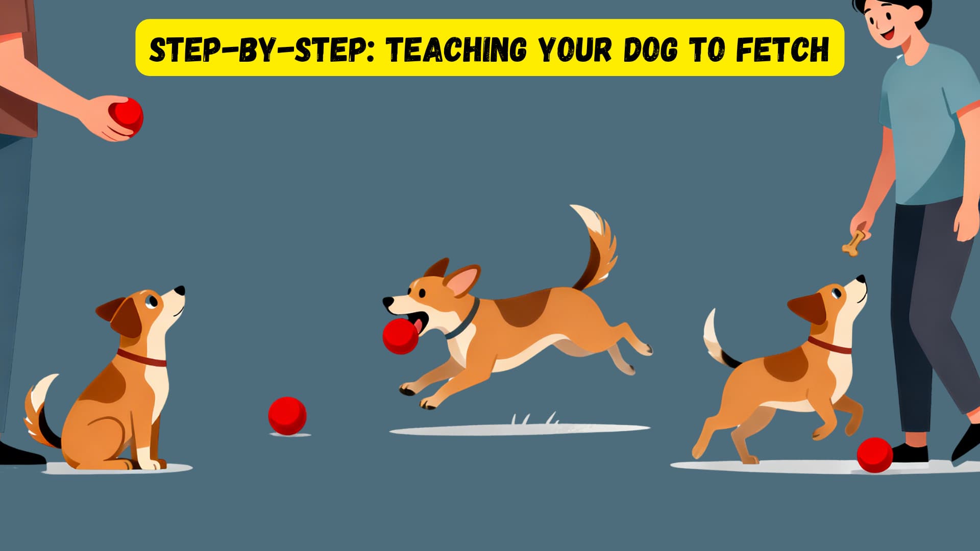 A step by step illustrated scene of a dog learning to fetch, 5 panels showing dog interested in toy, dog chasing ball, dog returning to owner, dog dropping toy for treat