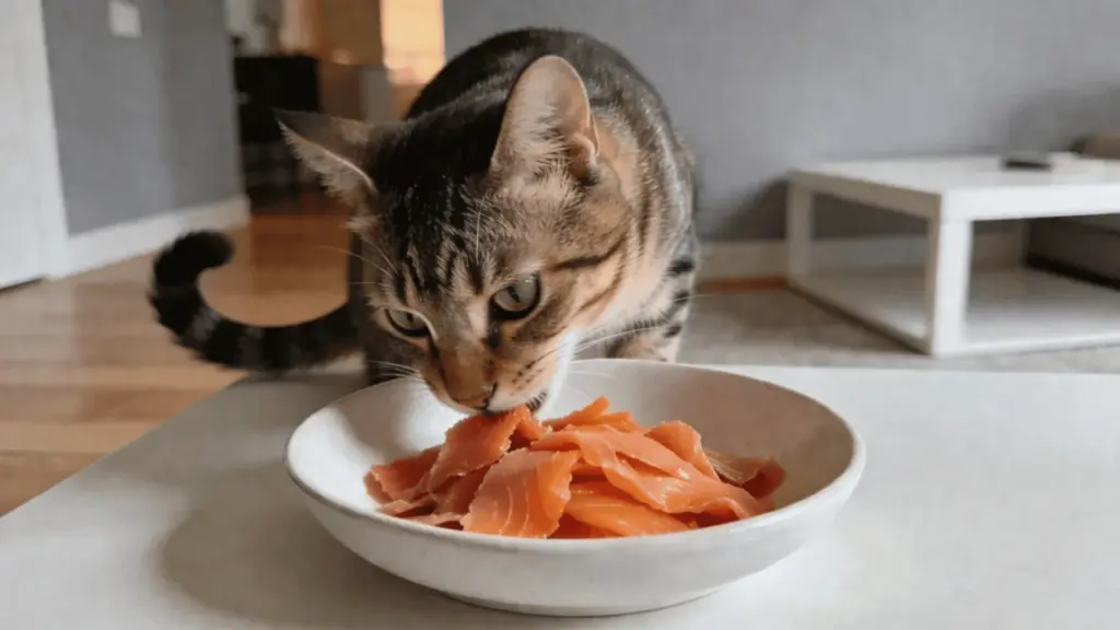 A tabby cat eating smoked salmon slices from a white bowl on a table.