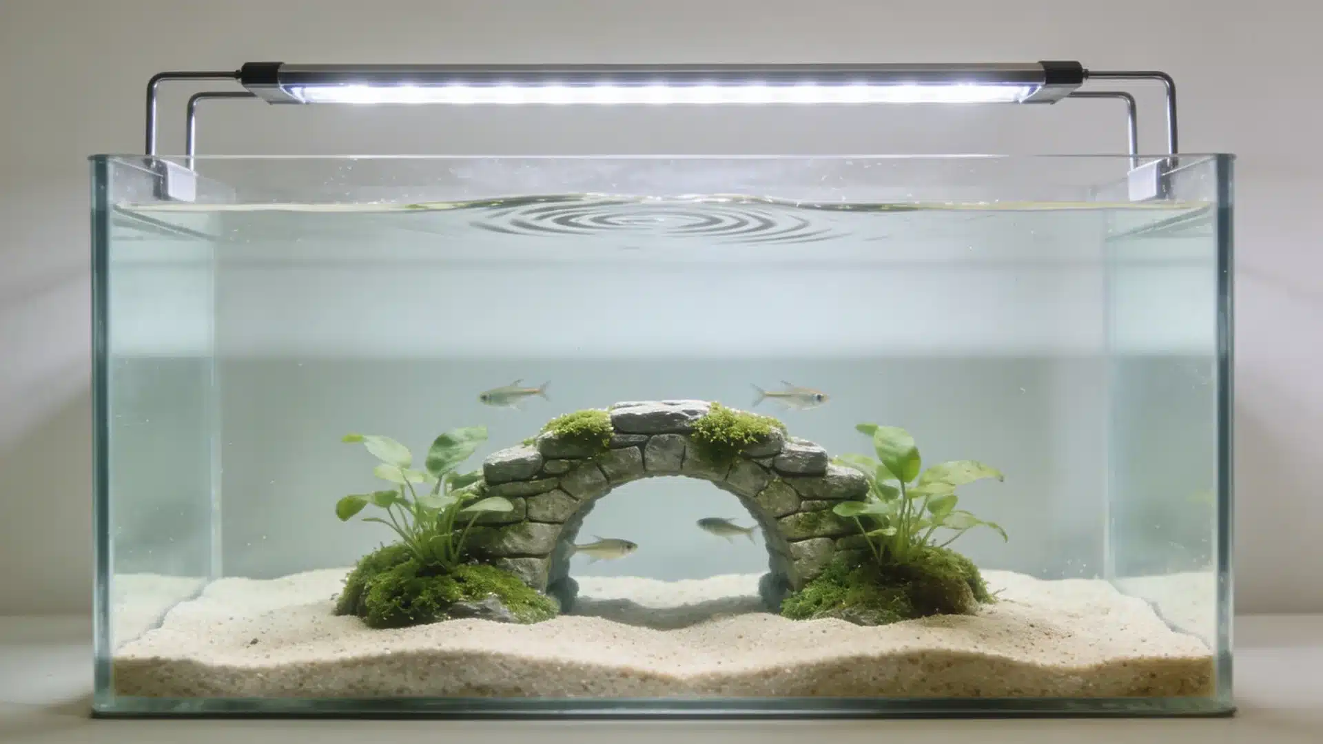 Abandoned stone bridge aquarium with moss, green plants, sandy substrate, and small fish swimming through arch