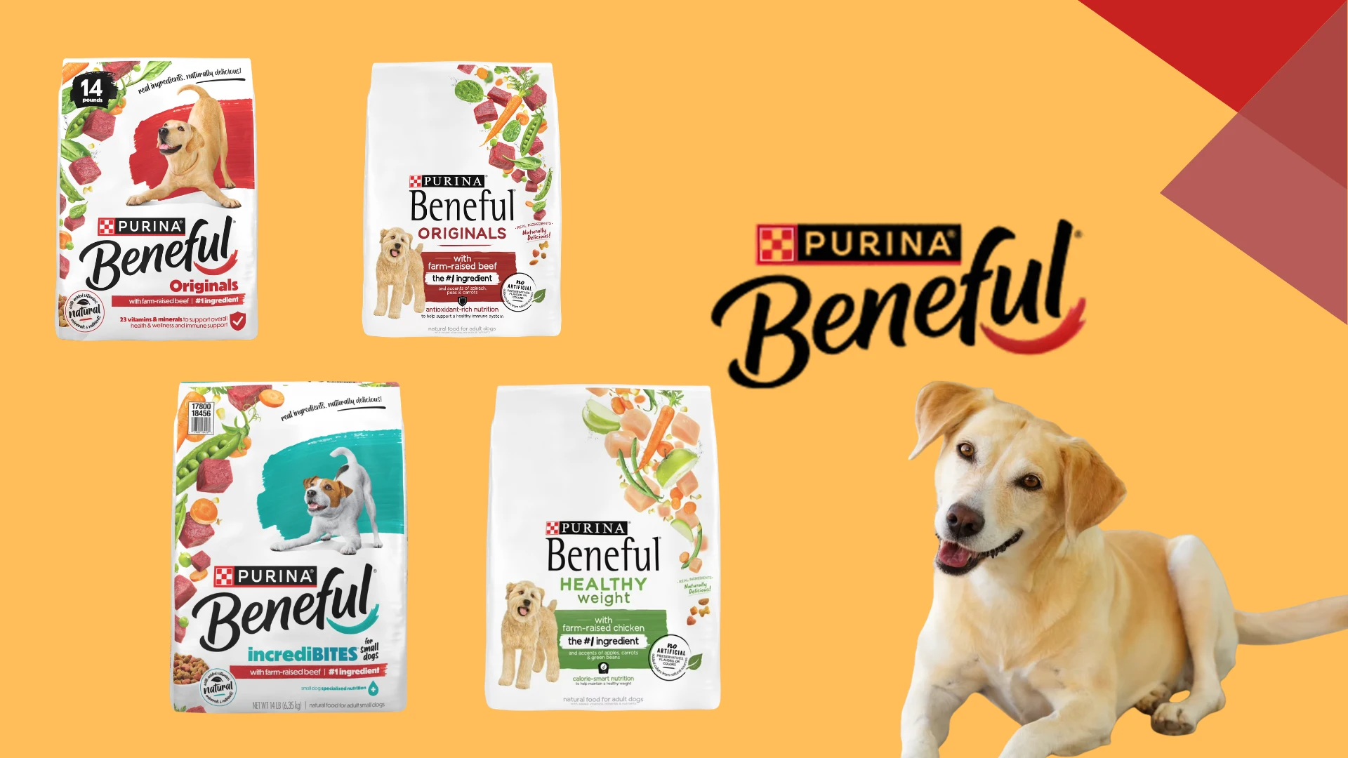 Beneful dog food product lineup with different variants and a happy dog beside Purina Beneful branding