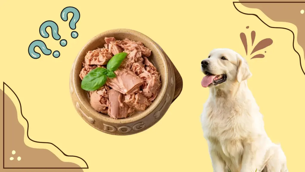 Dog looking at bowl of tuna with question marks, showing curiosity about eating fish and seafood safely