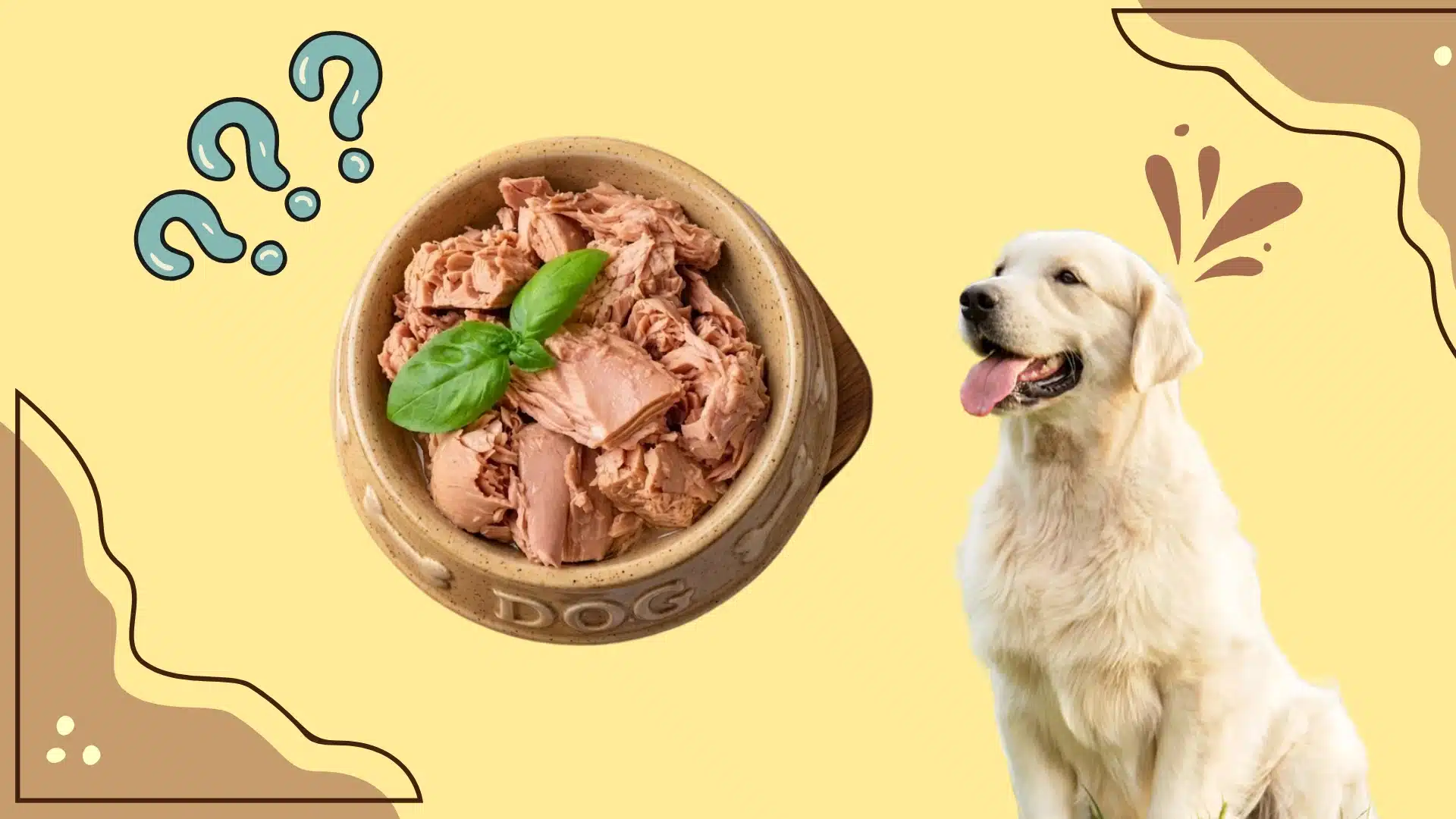 Dog looking at bowl of tuna with question marks, showing curiosity about eating fish and seafood safely