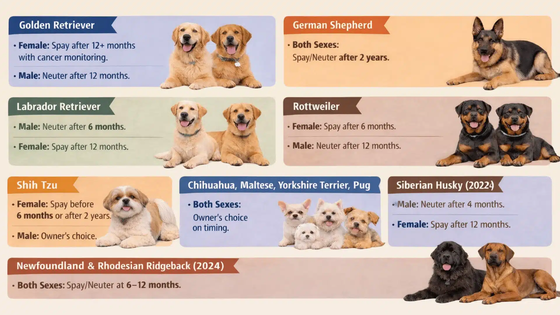 Dog spay and neuter timing chart by breed with recommended ages for male and female dogs