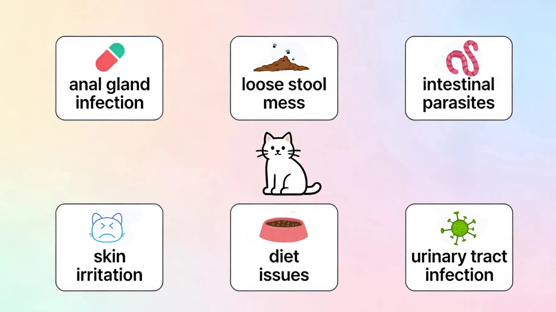 Infographic showing stinky cat causes with icons for glands, stool, parasites, skin, diet, and urinary infection around a cat