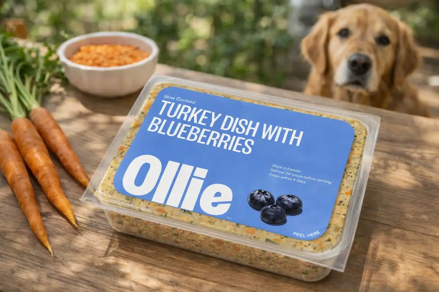 Ollie turkey dish with blueberries dog food package on table with dog behind