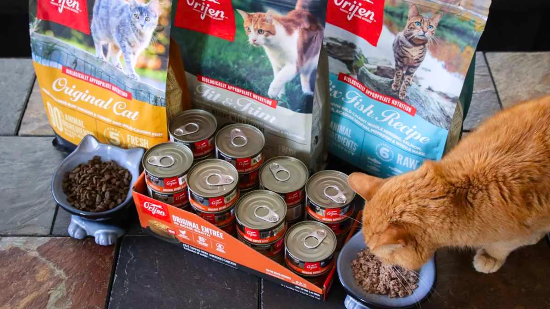 Orijen cat food lineup with dry bags and wet cans on floor as orange cat eats from bowl beside display