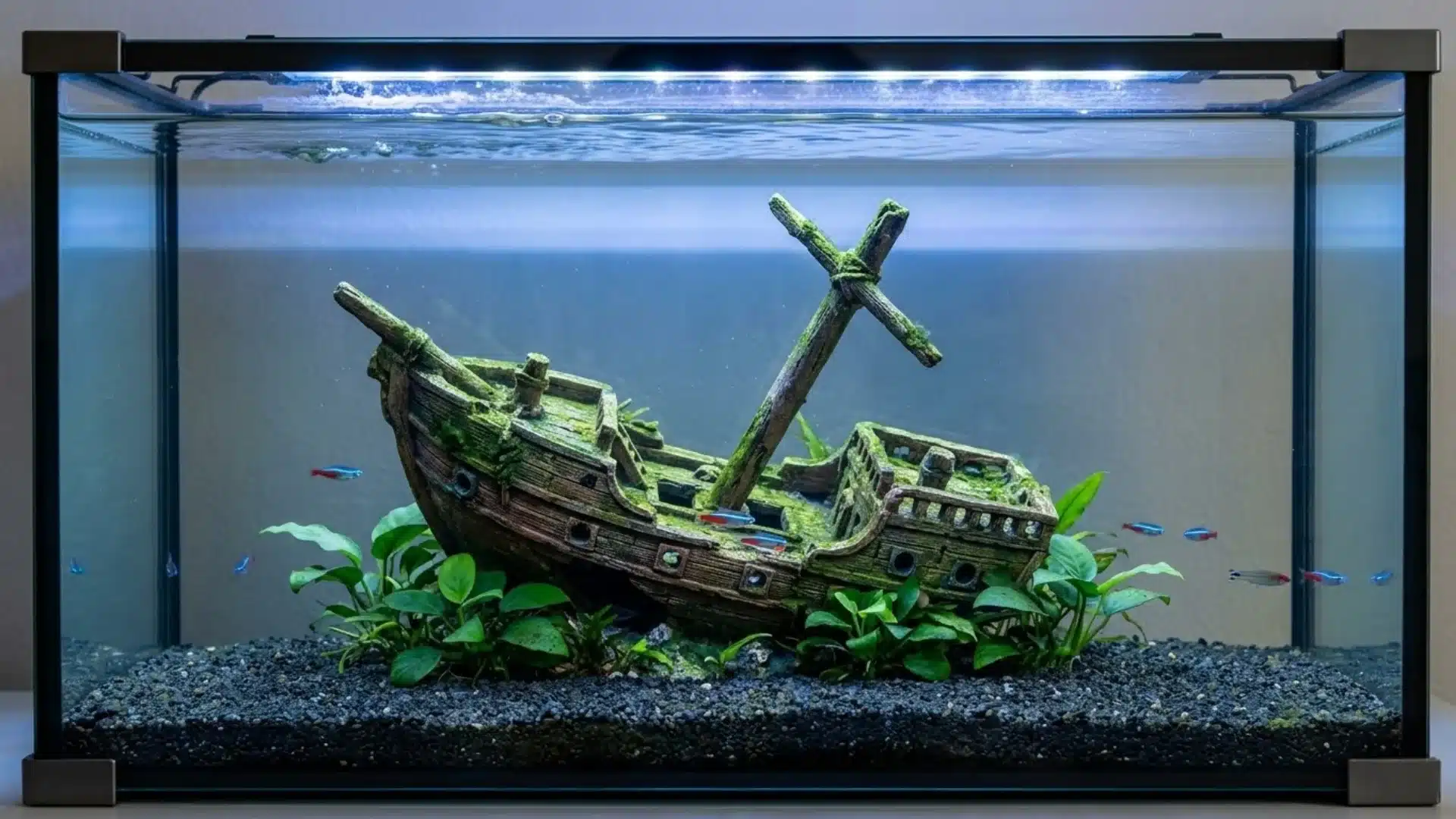 Pirate shipwreck aquarium with mossy wooden ship, dark substrate, green plants, and small fish swimming