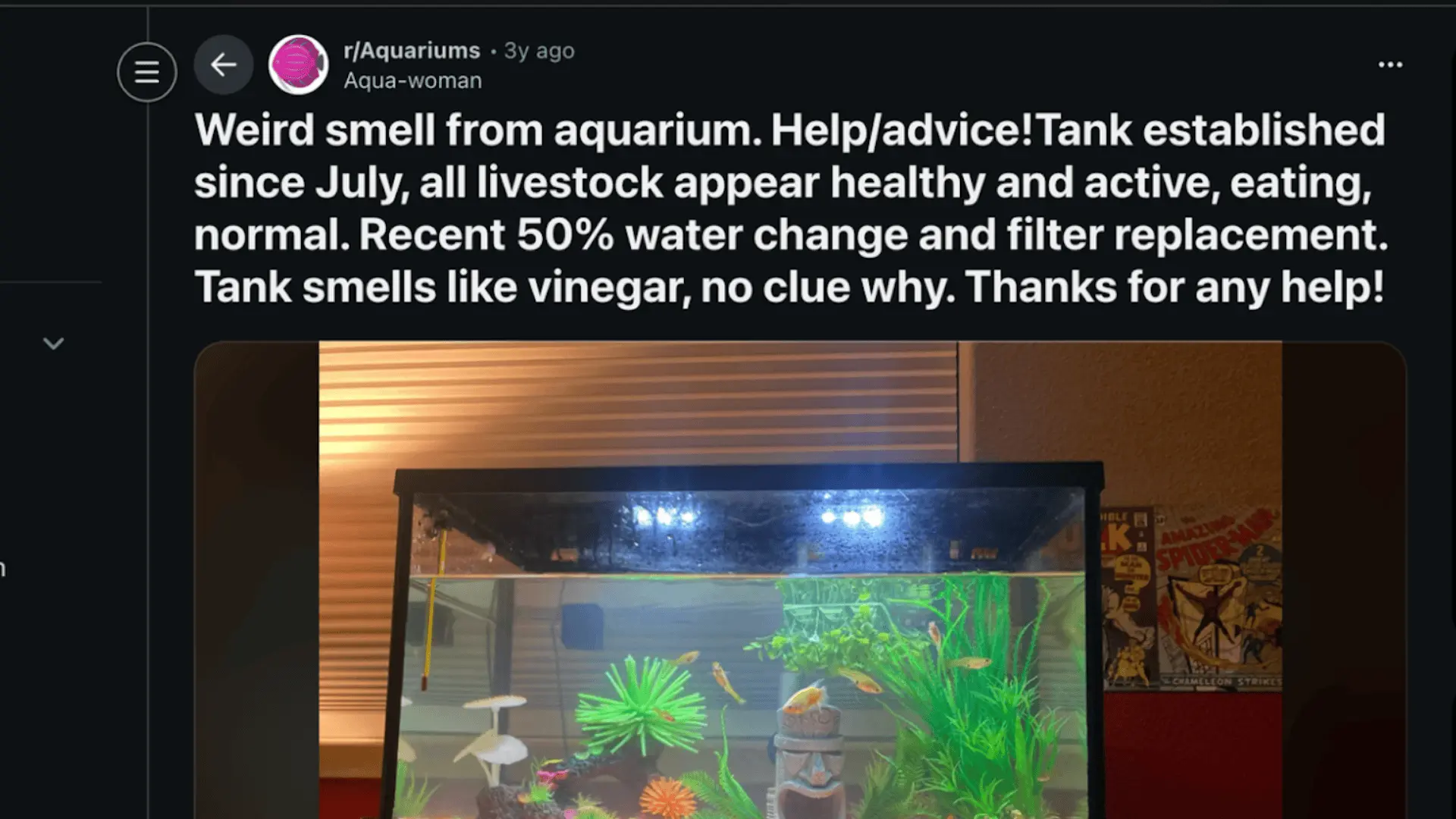 Reddit post showing fish tank with cloudy water and user reporting vinegar smell after water change and filter replacement