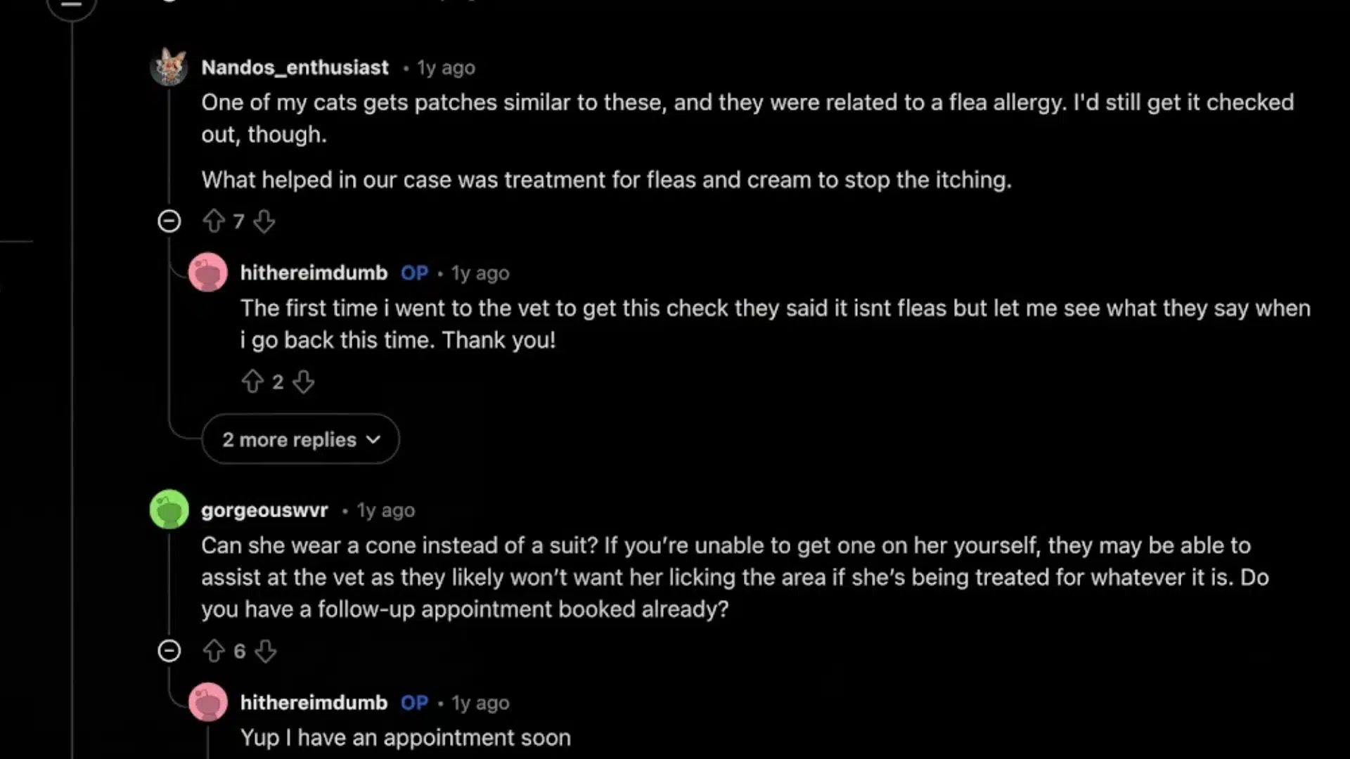 Reddit thread discussing cat skin patches, flea allergy, vet advice, and treatment suggestions