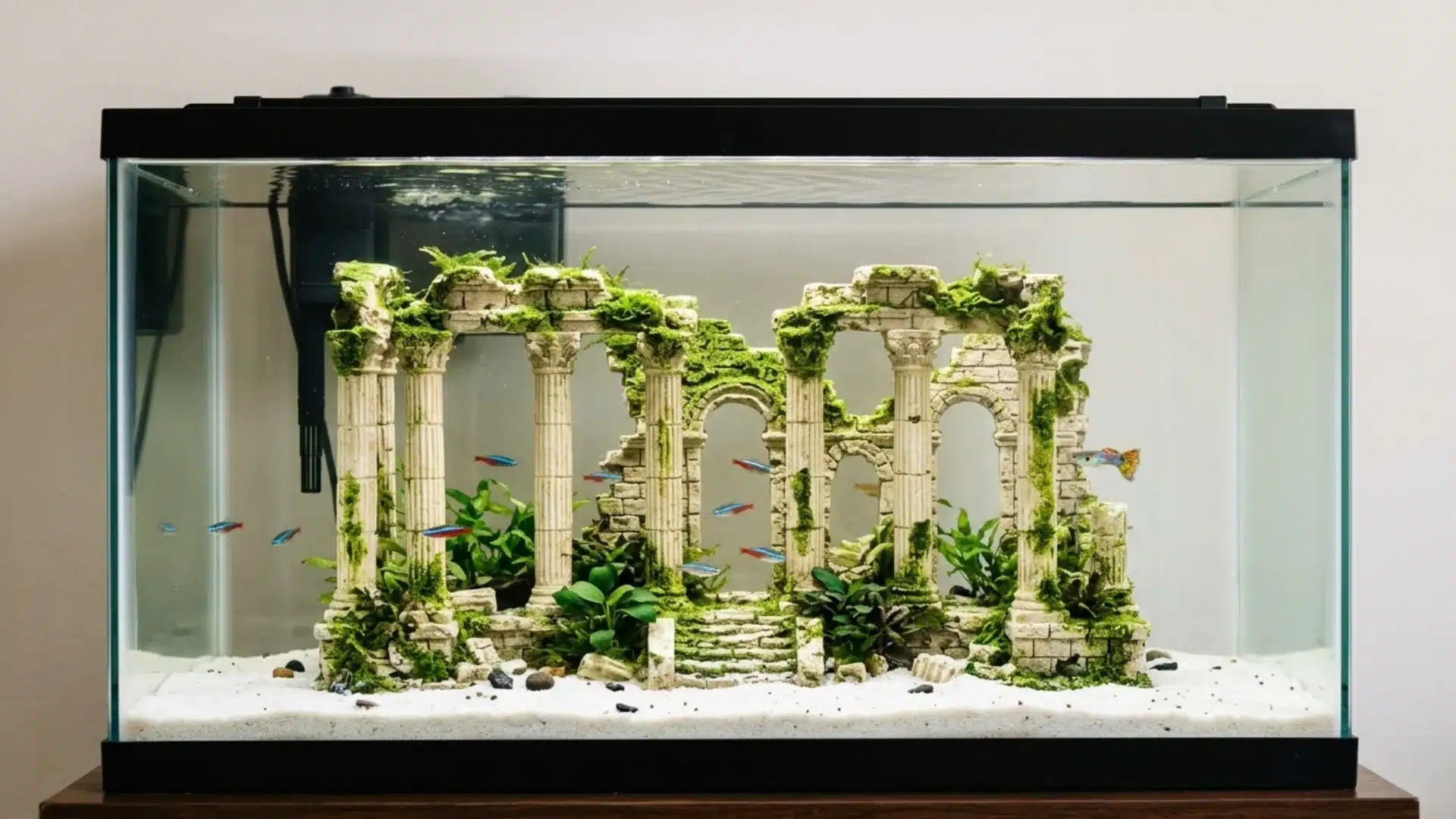 Roman ruins aquarium with mossy stone columns, arched doorways, green plants, and colorful fish swimming