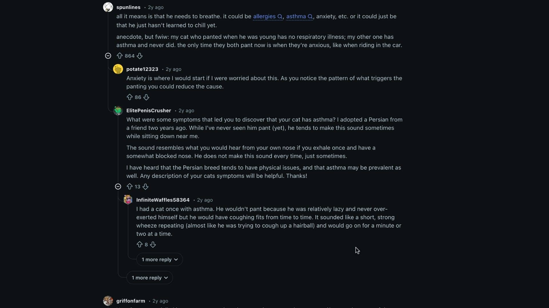 screenshot of a Reddit discussion about cat panting