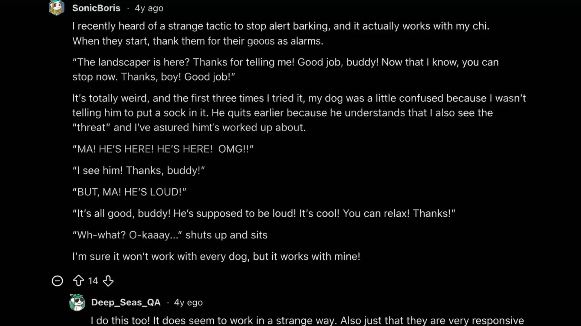 Screenshot of online discussion sharing Chihuahua barking training tips on a black background
