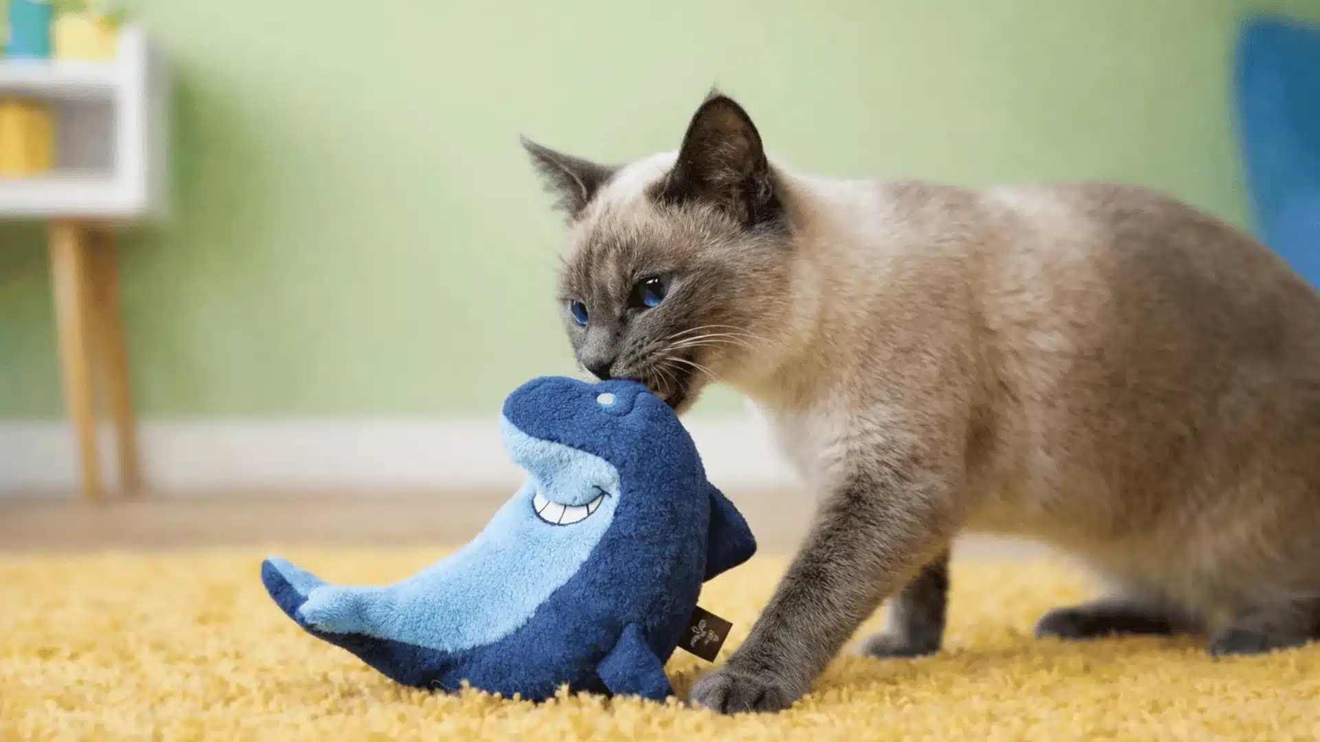 Siamese cat biting a blue plush fish toy on a soft yellow rug indoors