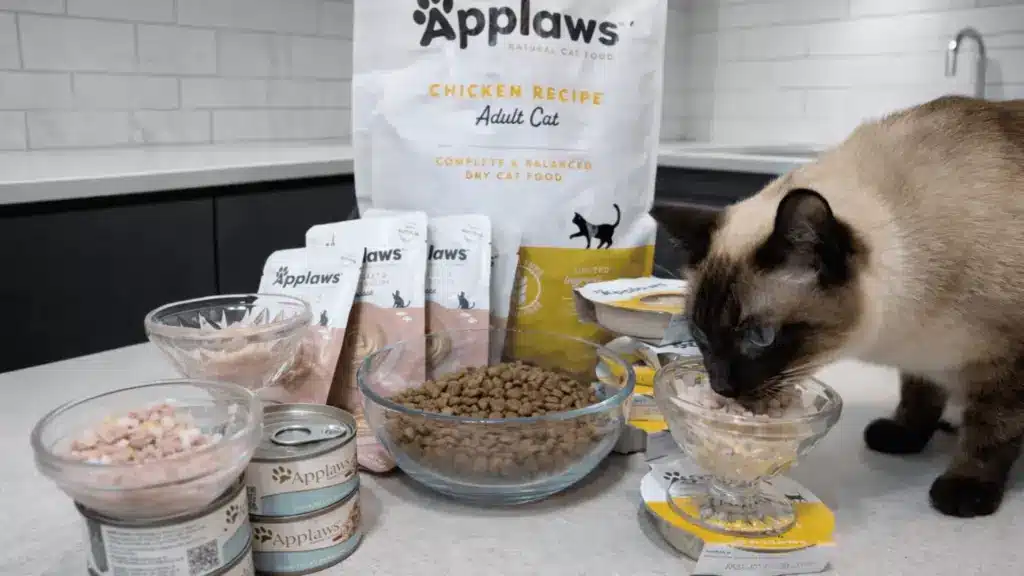 Siamese cat eating from a glass bowl surrounded by a variety of Applaws dry food, cans, and pouches on a kitchen counter.