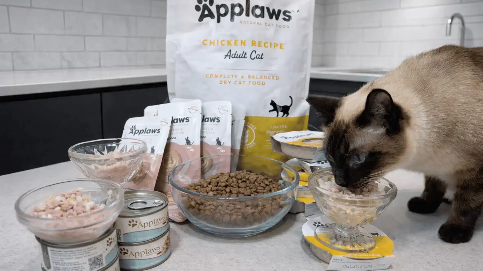 Siamese cat eating from a glass bowl surrounded by a variety of Applaws dry food, cans, and pouches on a kitchen counter.