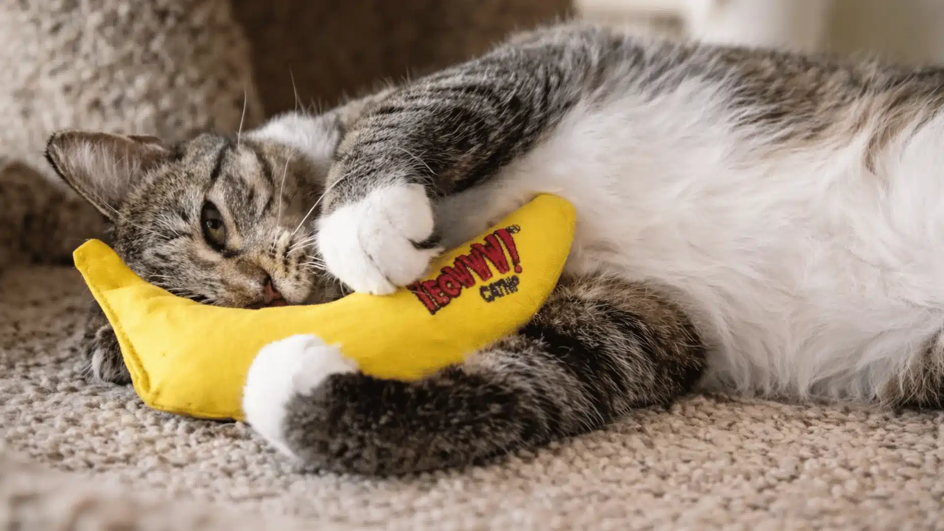Tabby cat lying on carpet, hugging a yellow banana-shaped catnip toy with relaxed expression