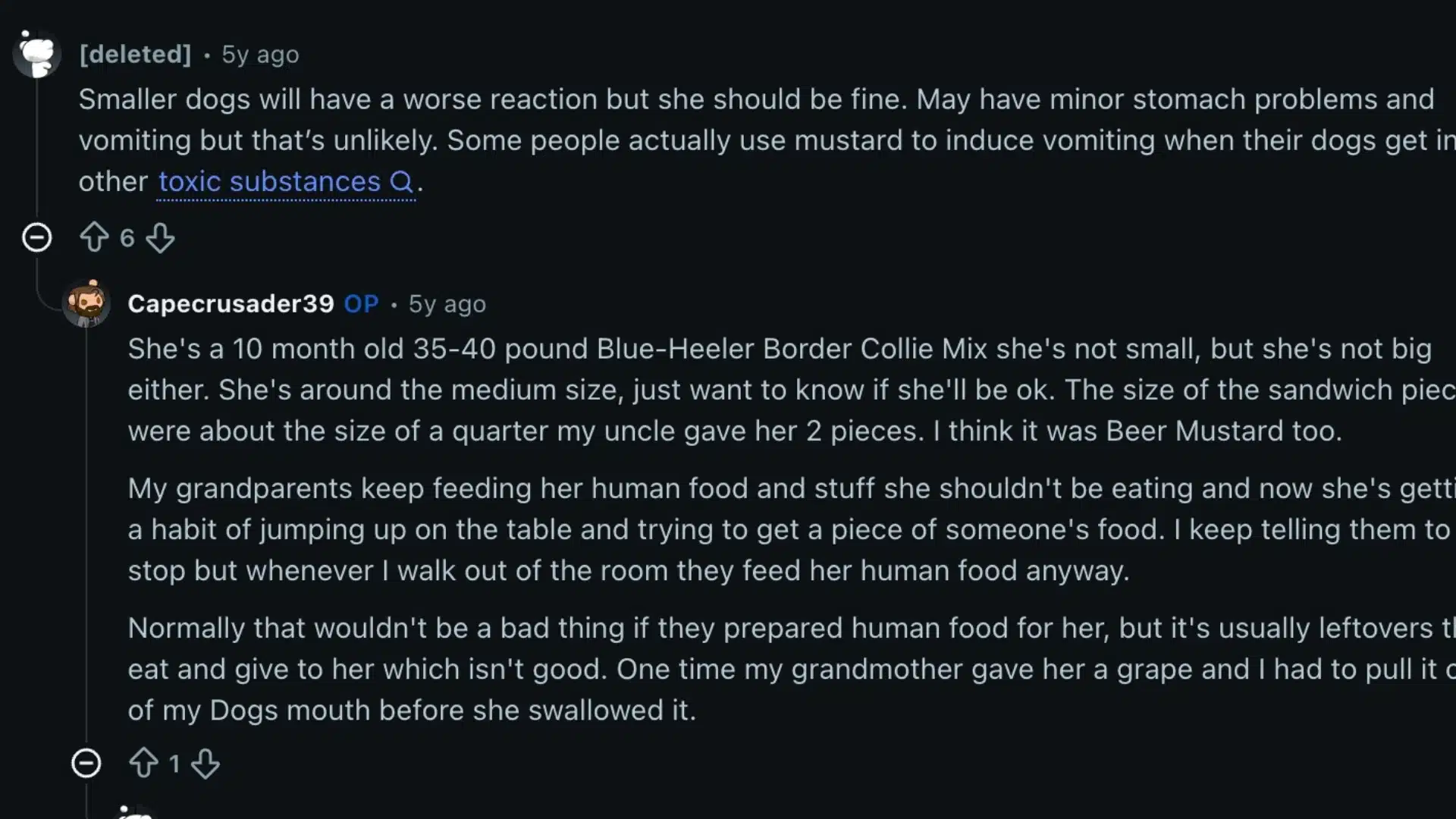 Reddit discussion about dog eating mustard sandwich pieces and owners sharing advice about possible stomach reactions