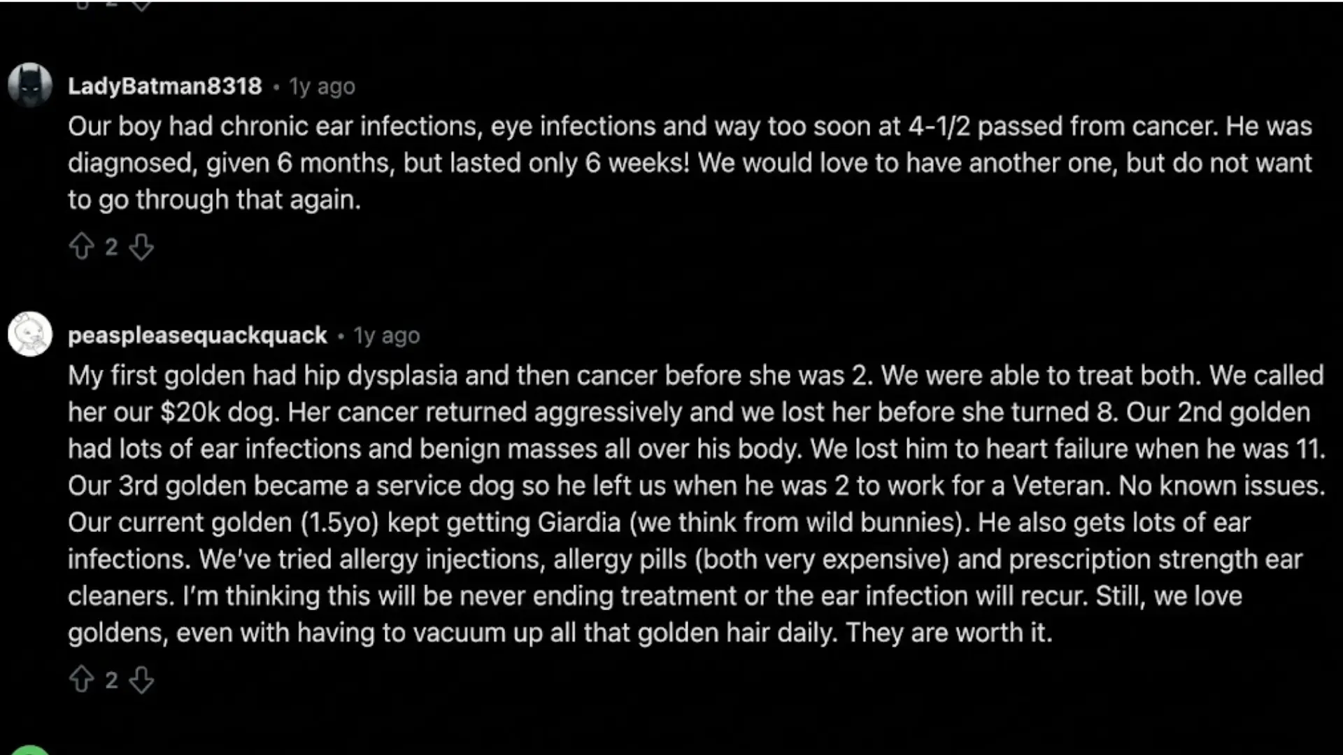 Reddit users share Golden Retriever cancer, hip dysplasia, and chronic ear infection experiences.