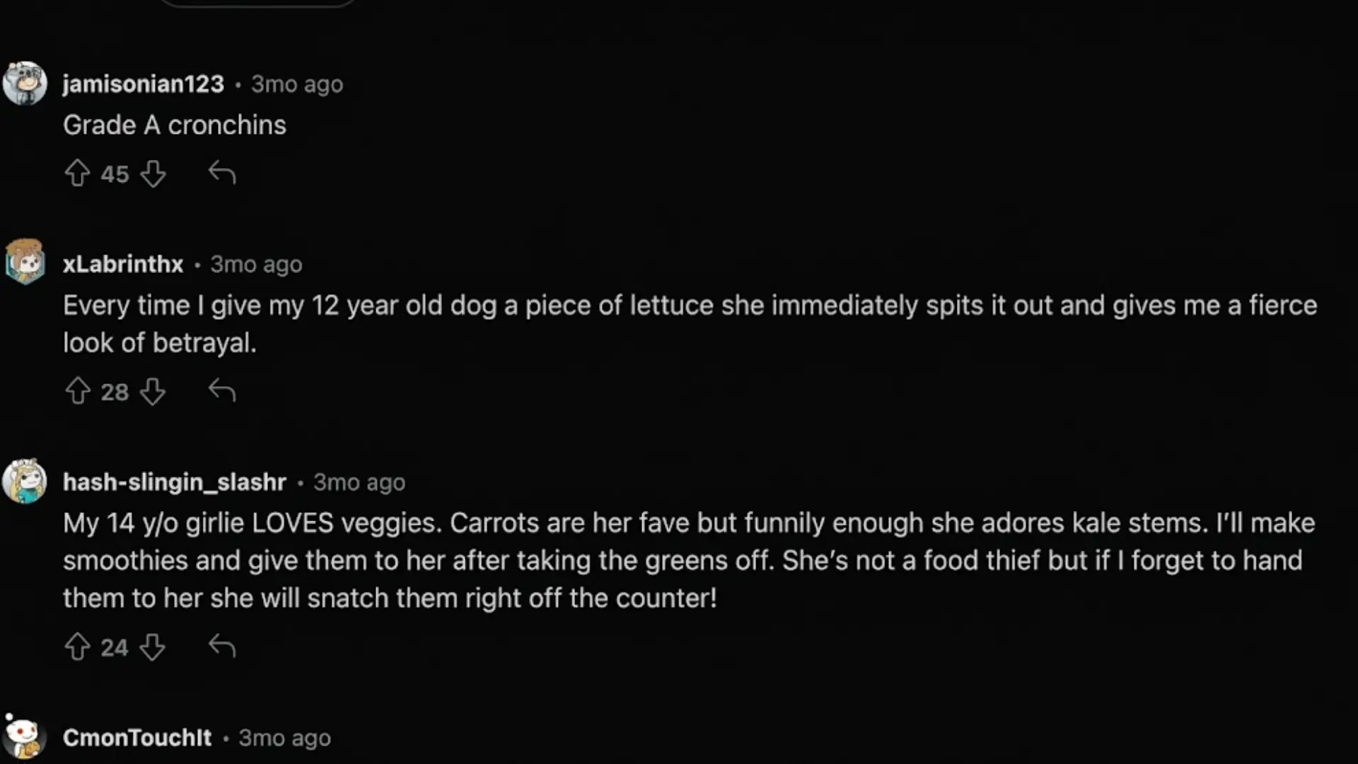 Reddit users sharing funny and honest reactions about dogs eating lettuce and vegetables